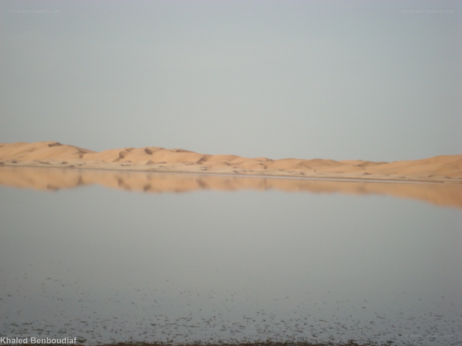 Desert dunes reflected in water