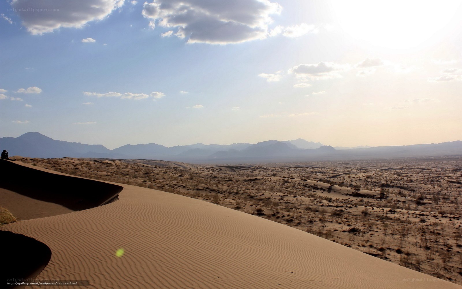 Desert dunes under a cloudy sky