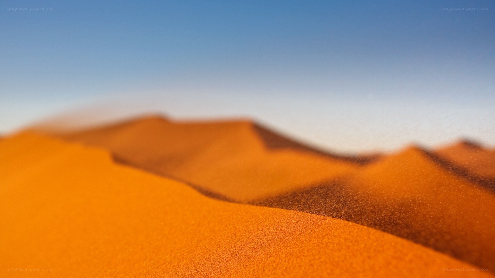 Desert dunes under blue sky