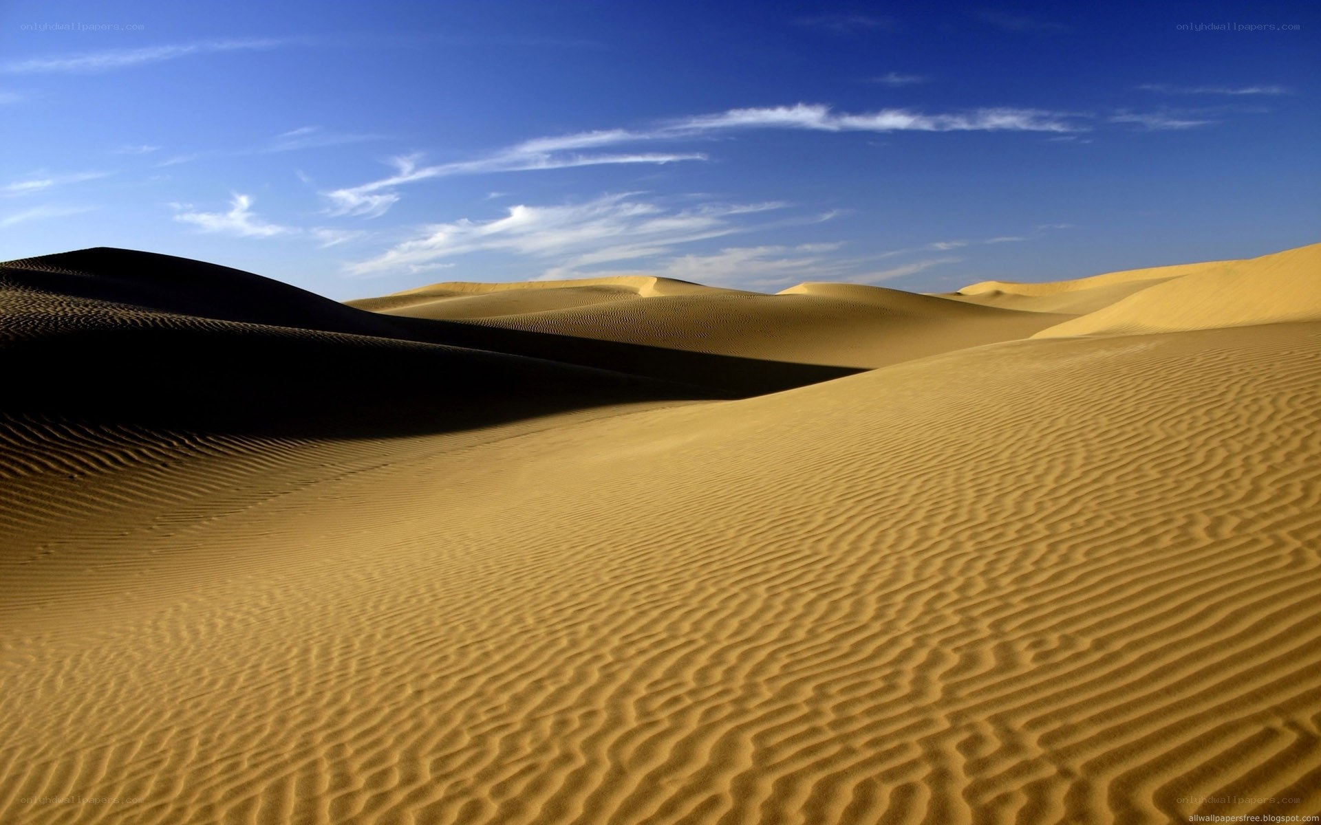 Desert dunes under blue sky