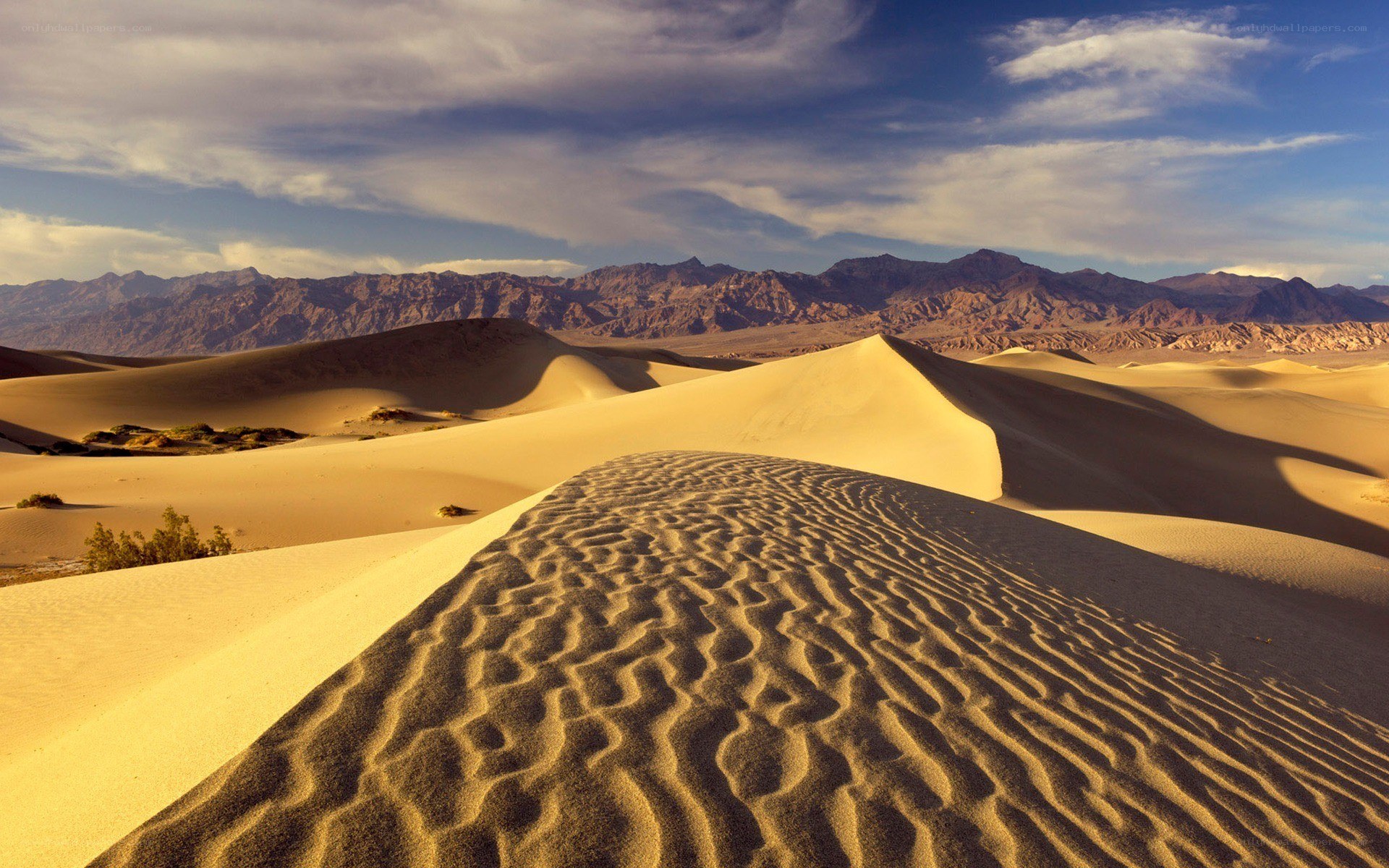 Desert dunes under blue sky