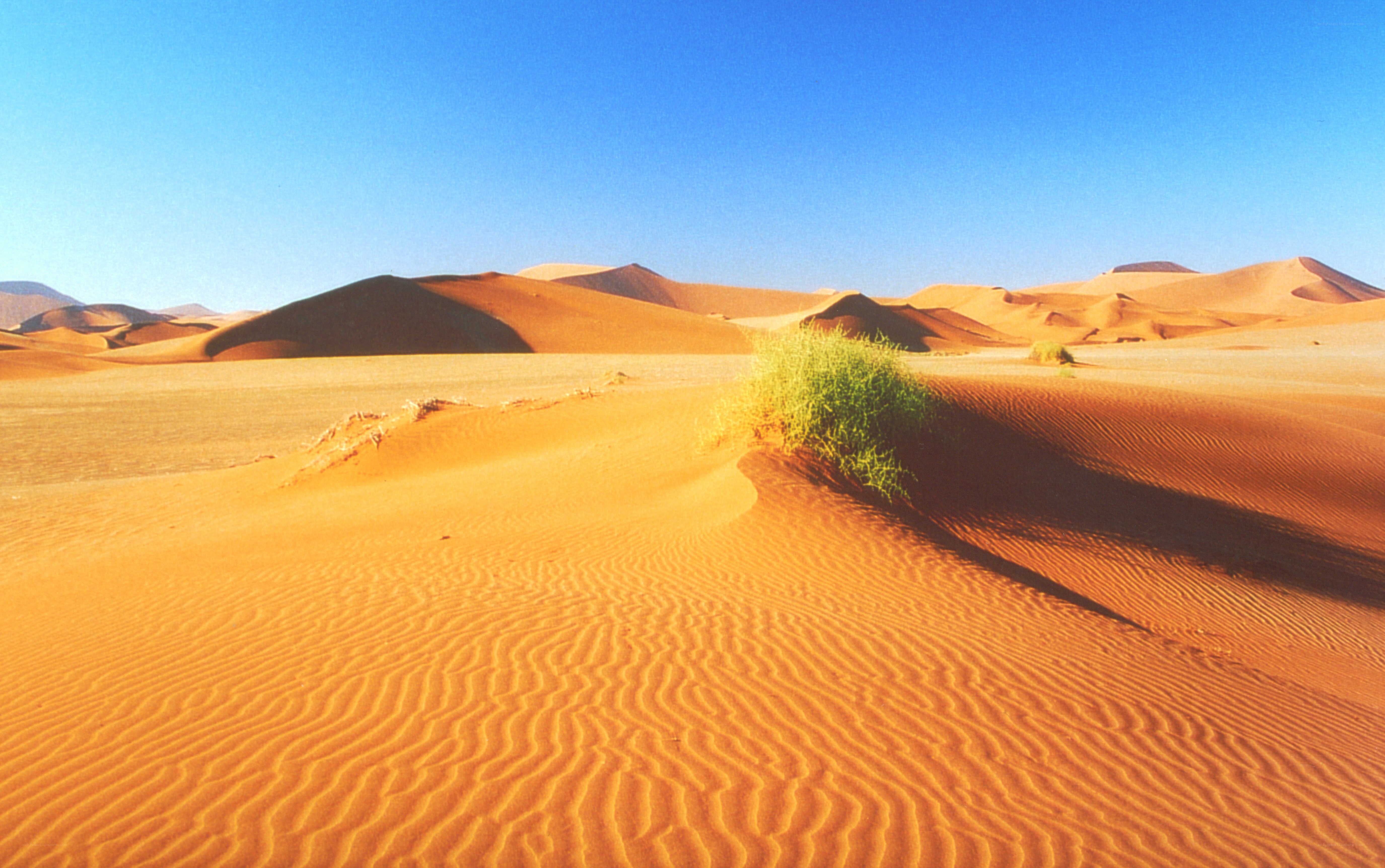 desert dunes under blue sky