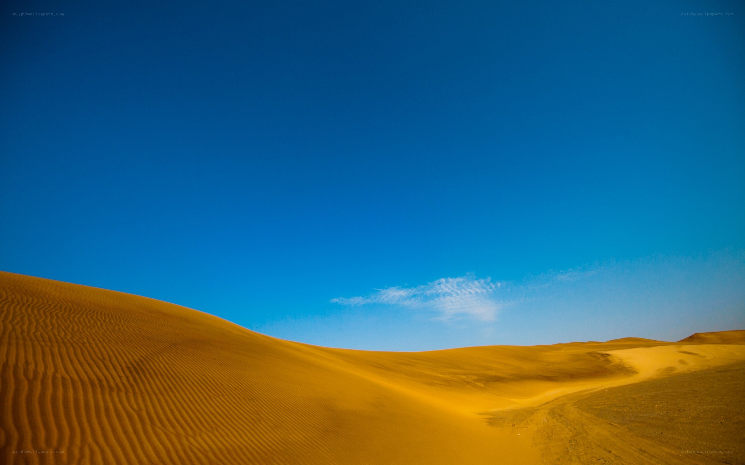 Desert dunes under blue sky