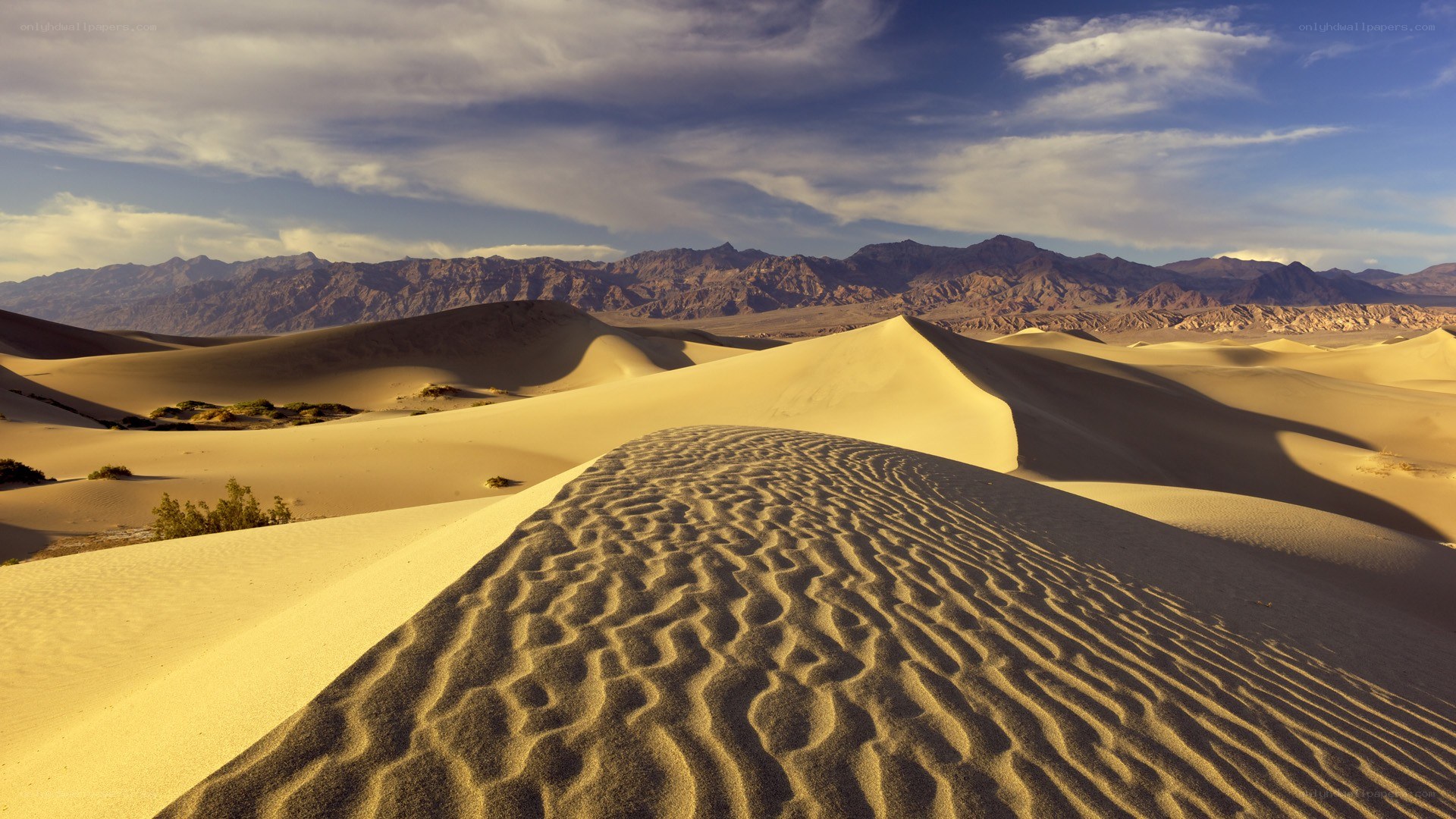 Desert dunes under blue sky