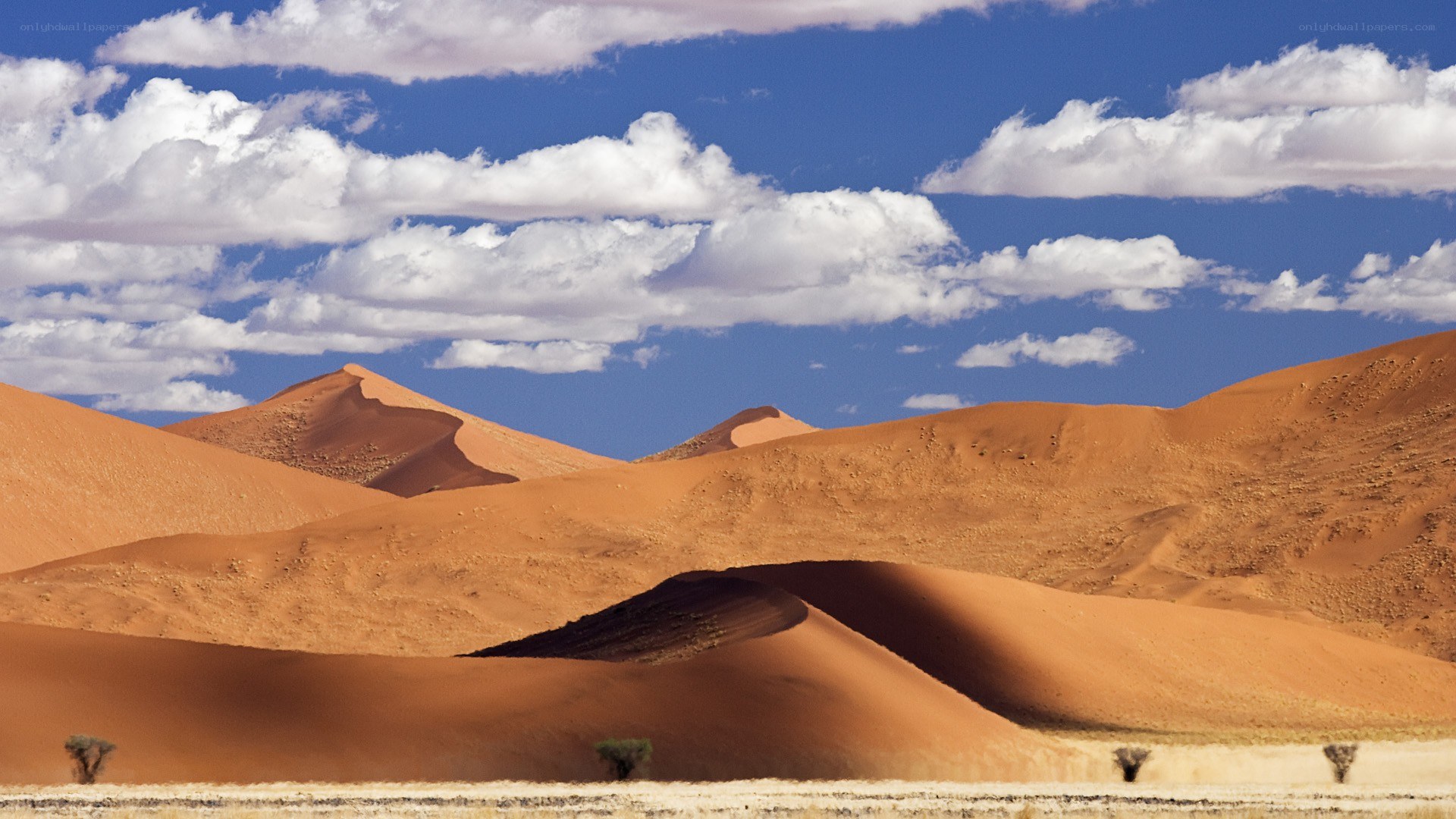 Desert dunes under blue sky