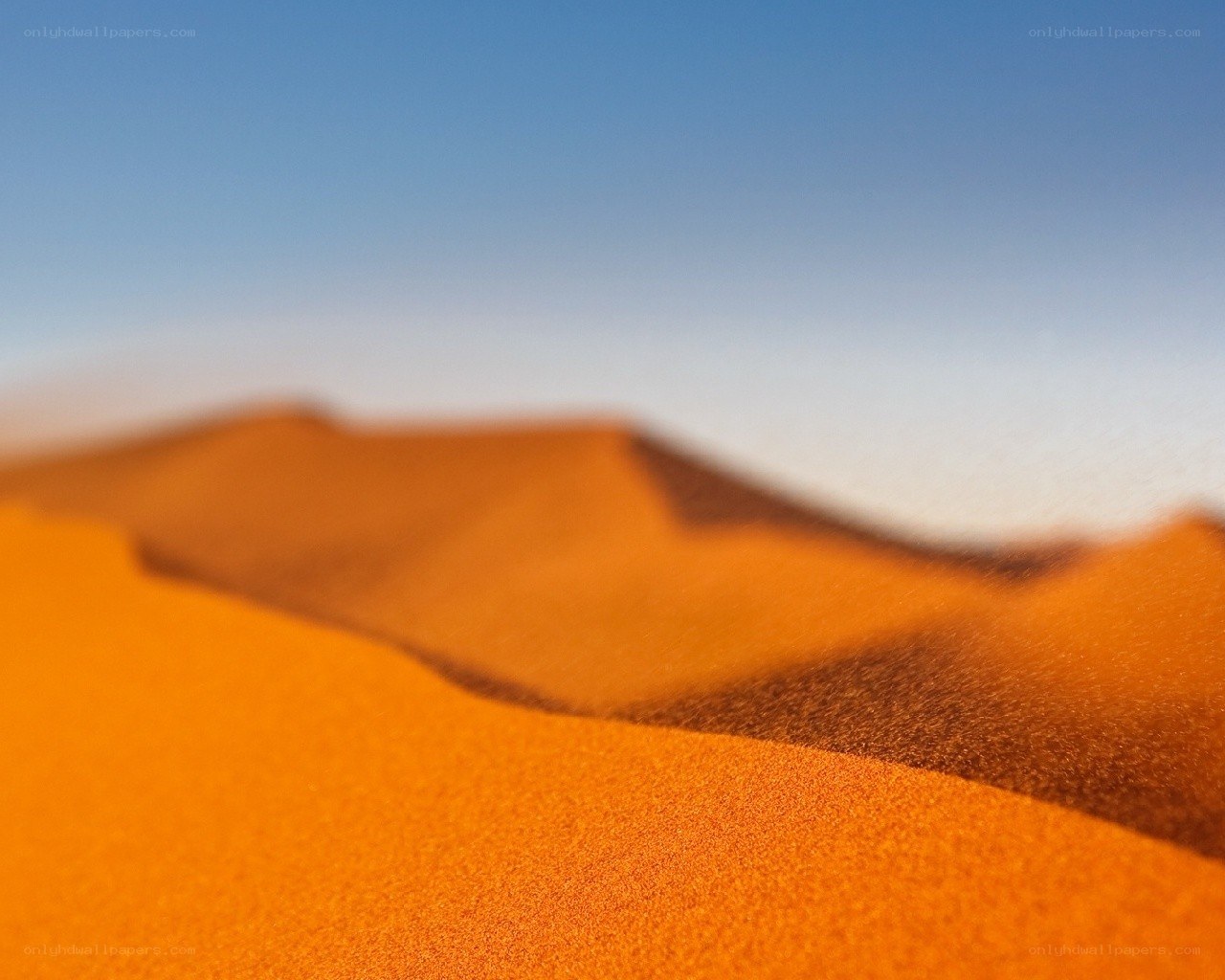 Desert dunes under blue sky
