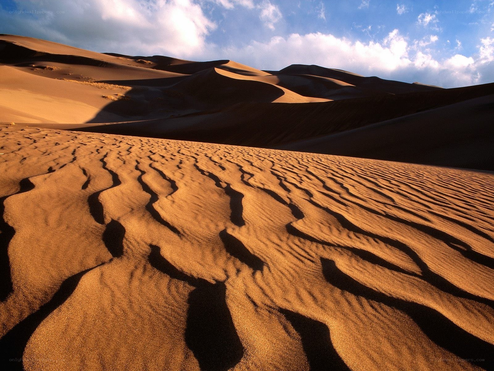 Desert dunes under blue sky