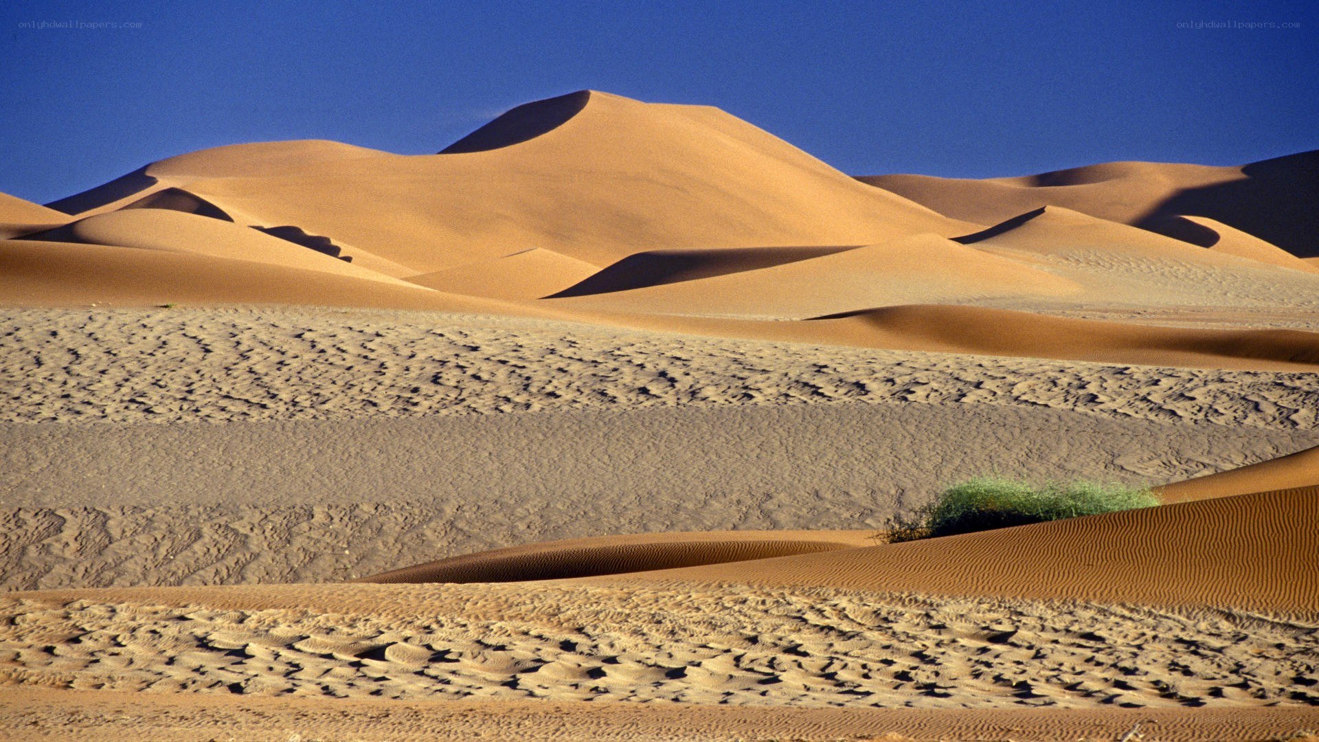Desert dunes under blue sky