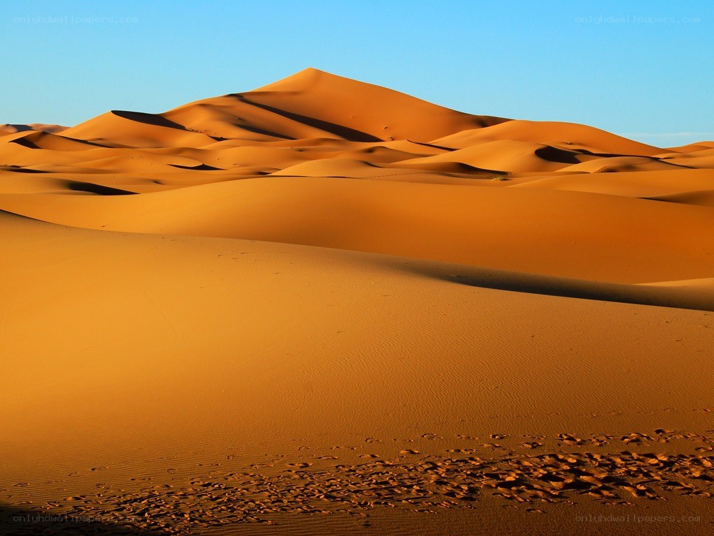 Desert dunes under blue sky