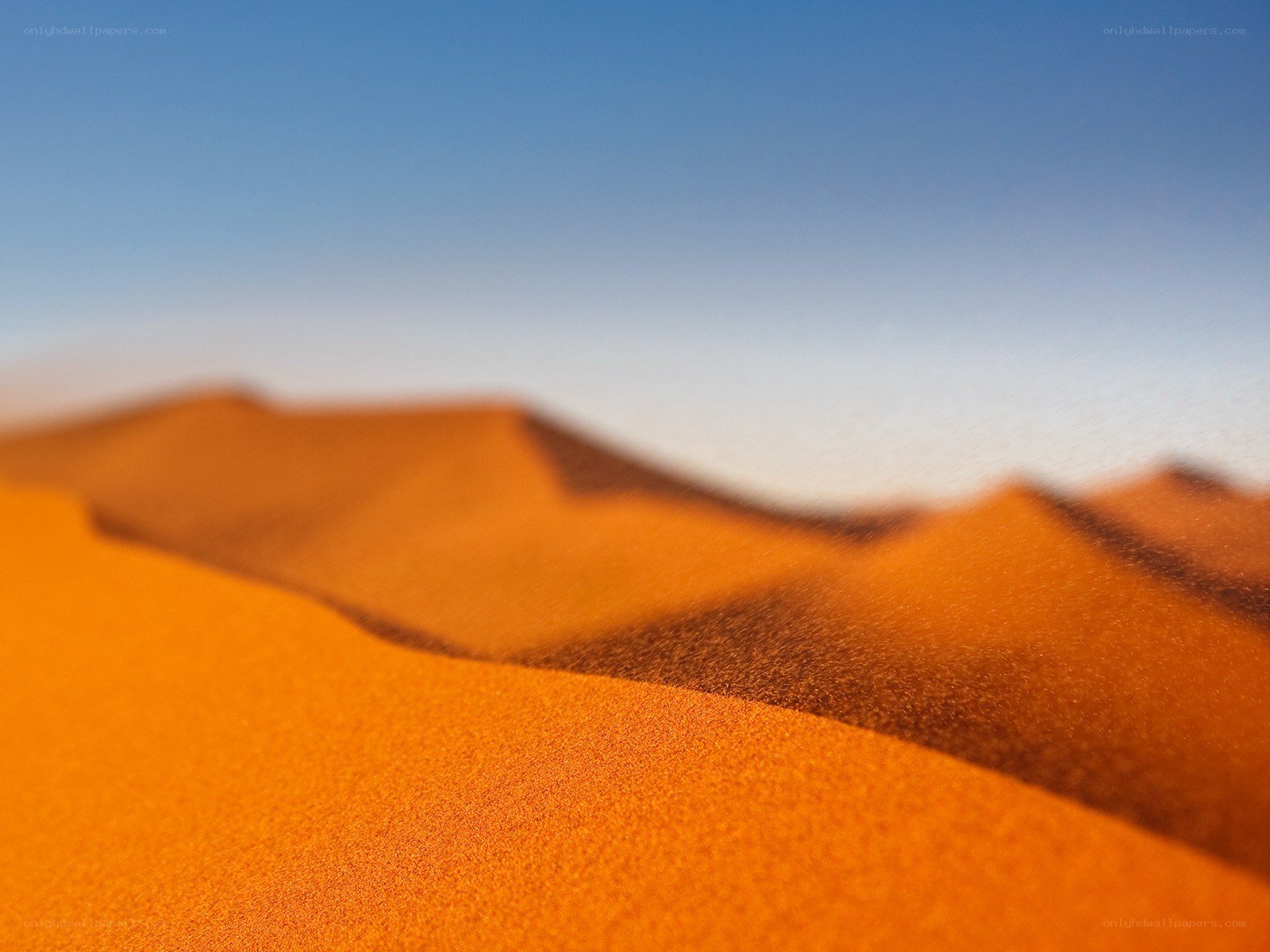 Desert dunes under blue sky