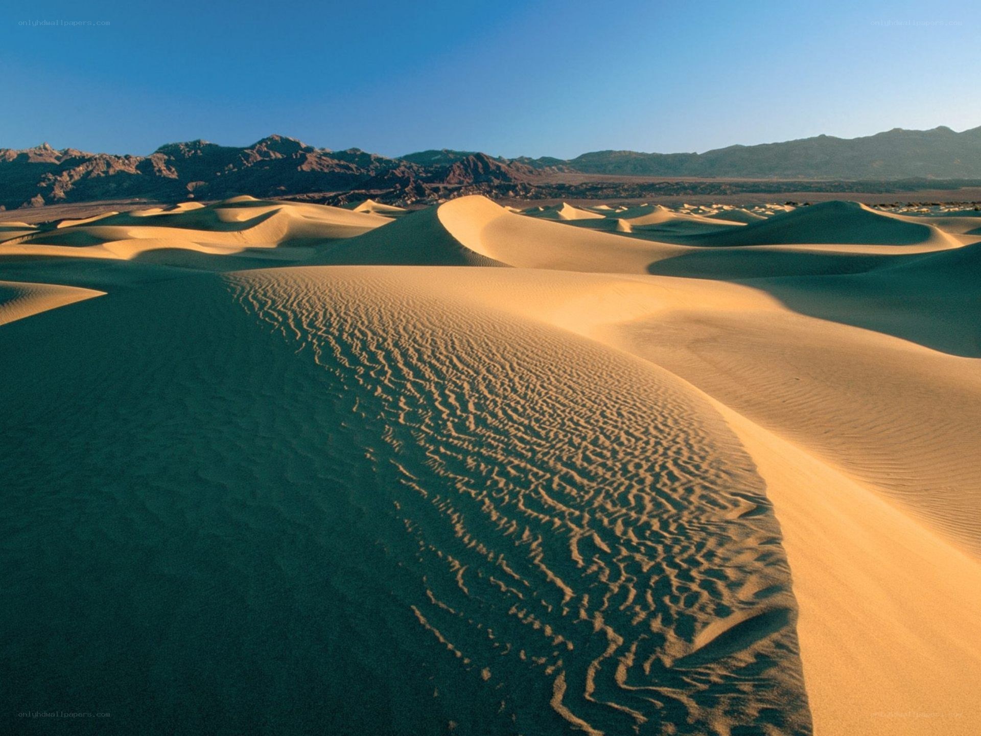 Desert dunes under blue sky