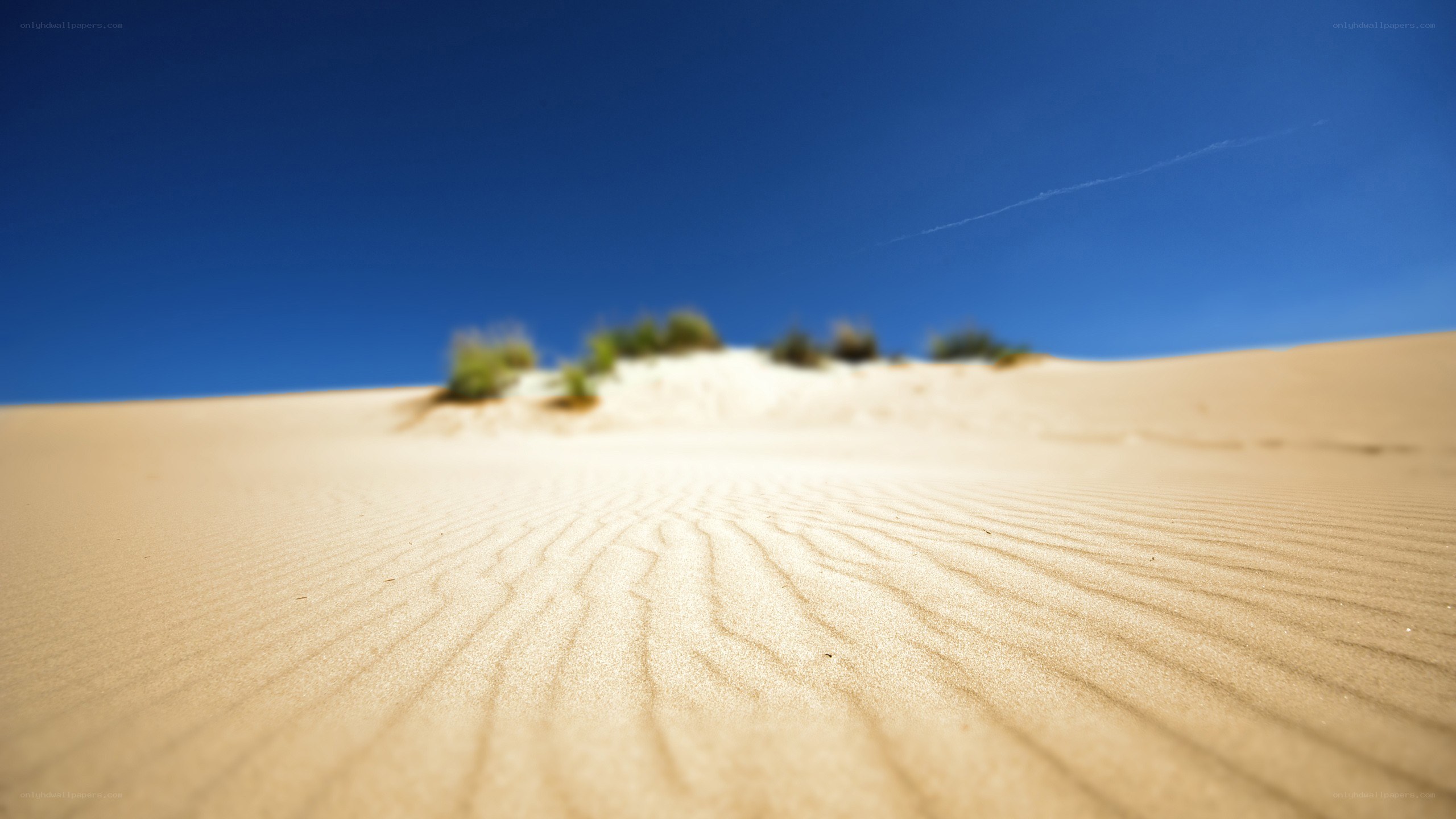 Desert dunes under blue sky