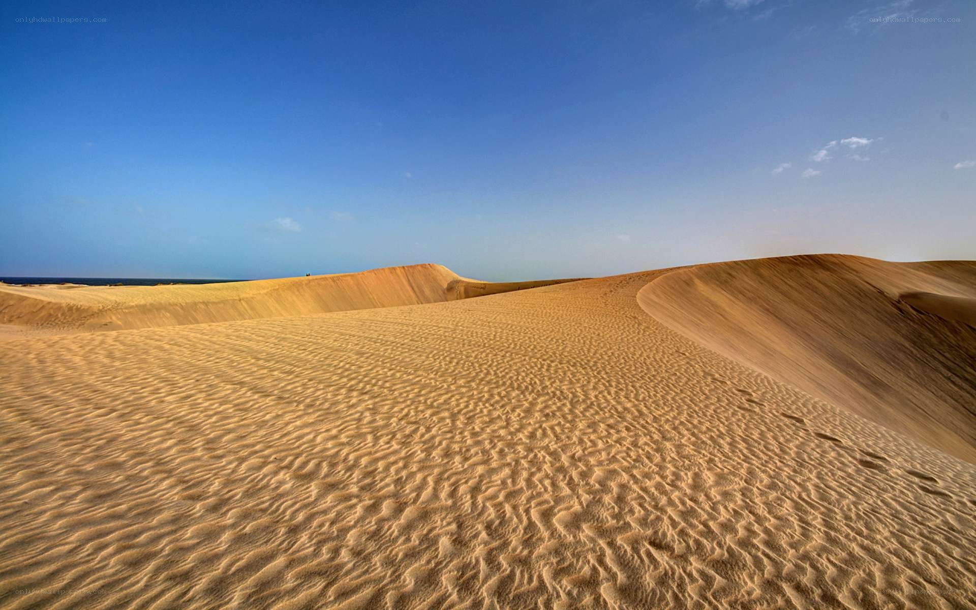 Desert dunes under blue sky
