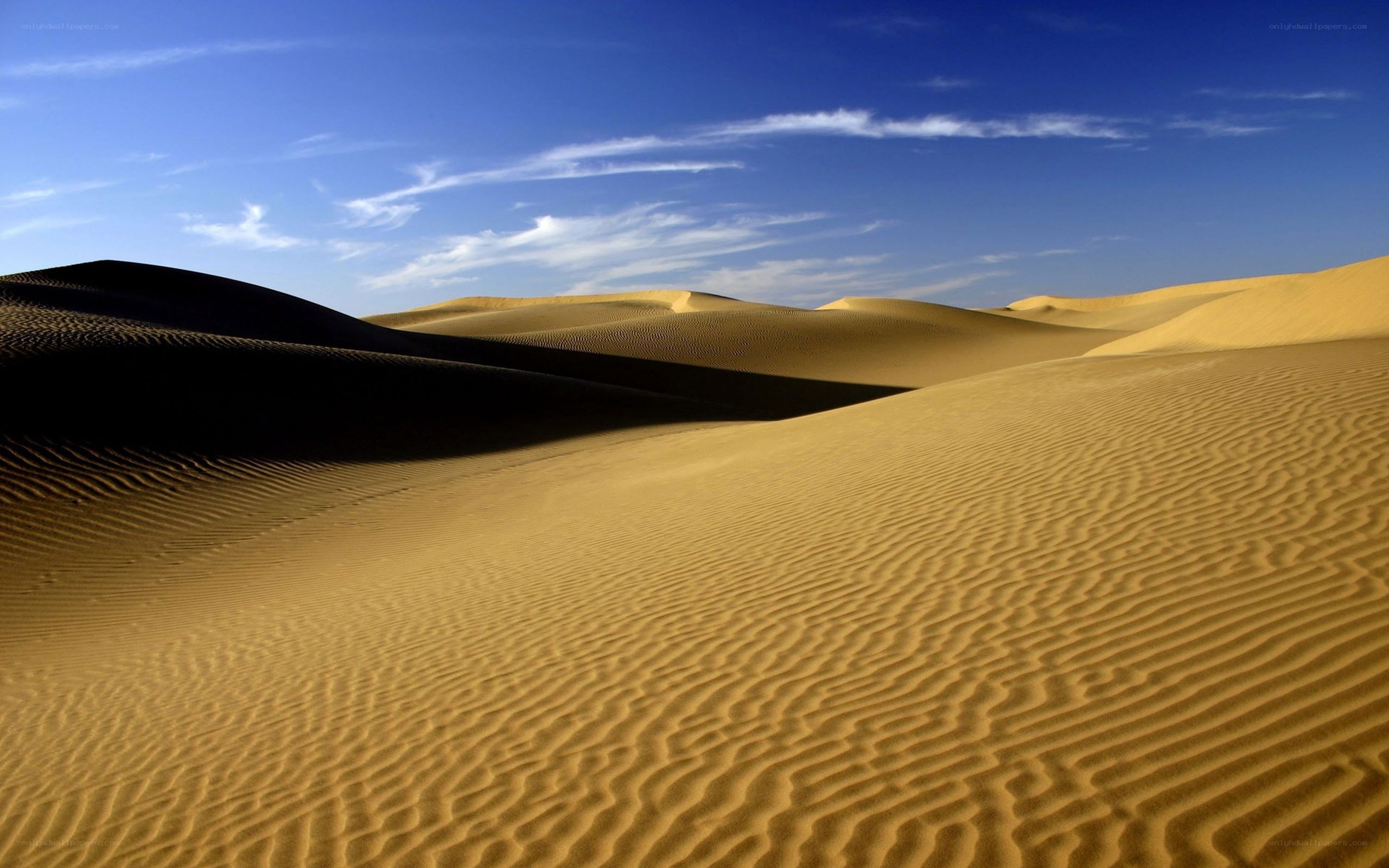 Desert dunes under blue sky