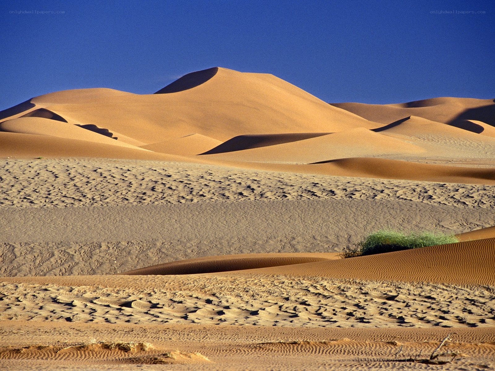 Desert dunes under blue sky