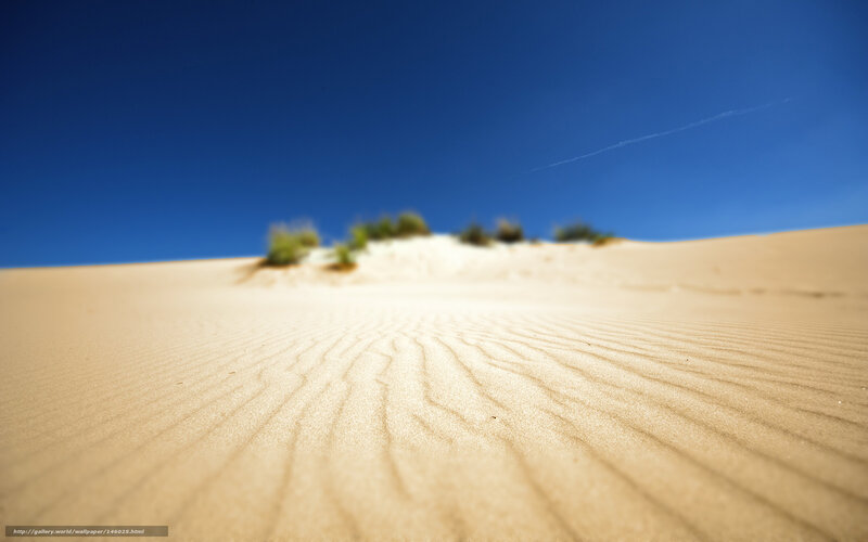 Desert dunes under blue sky
