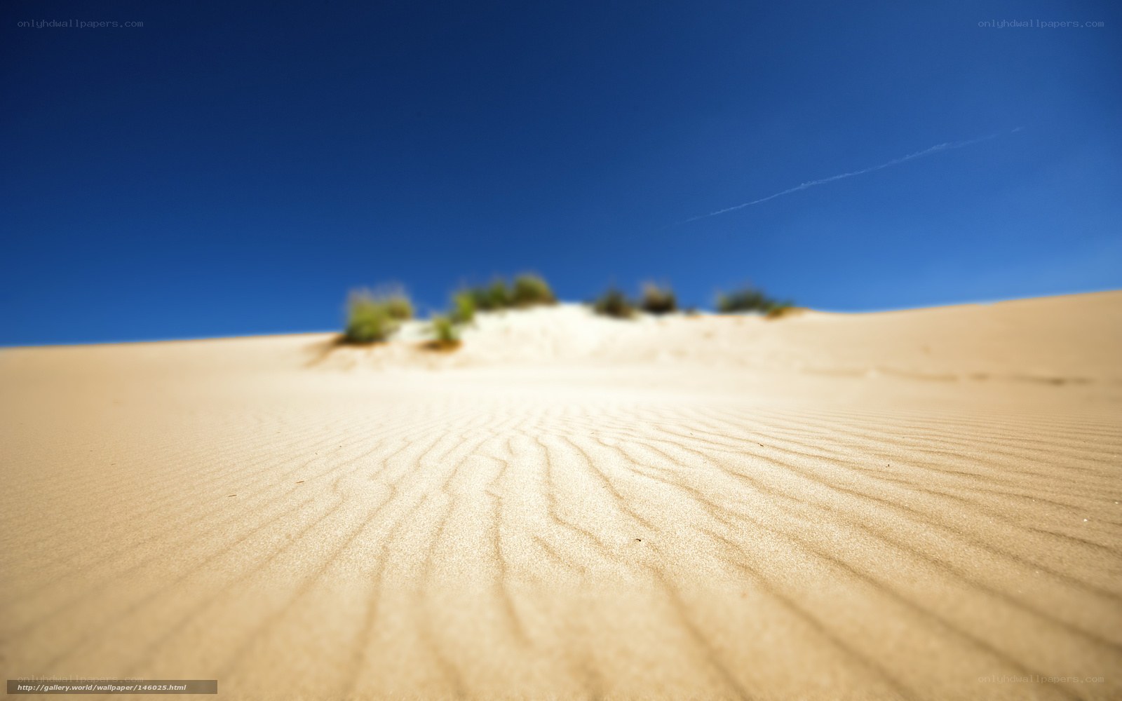 Desert dunes under blue sky