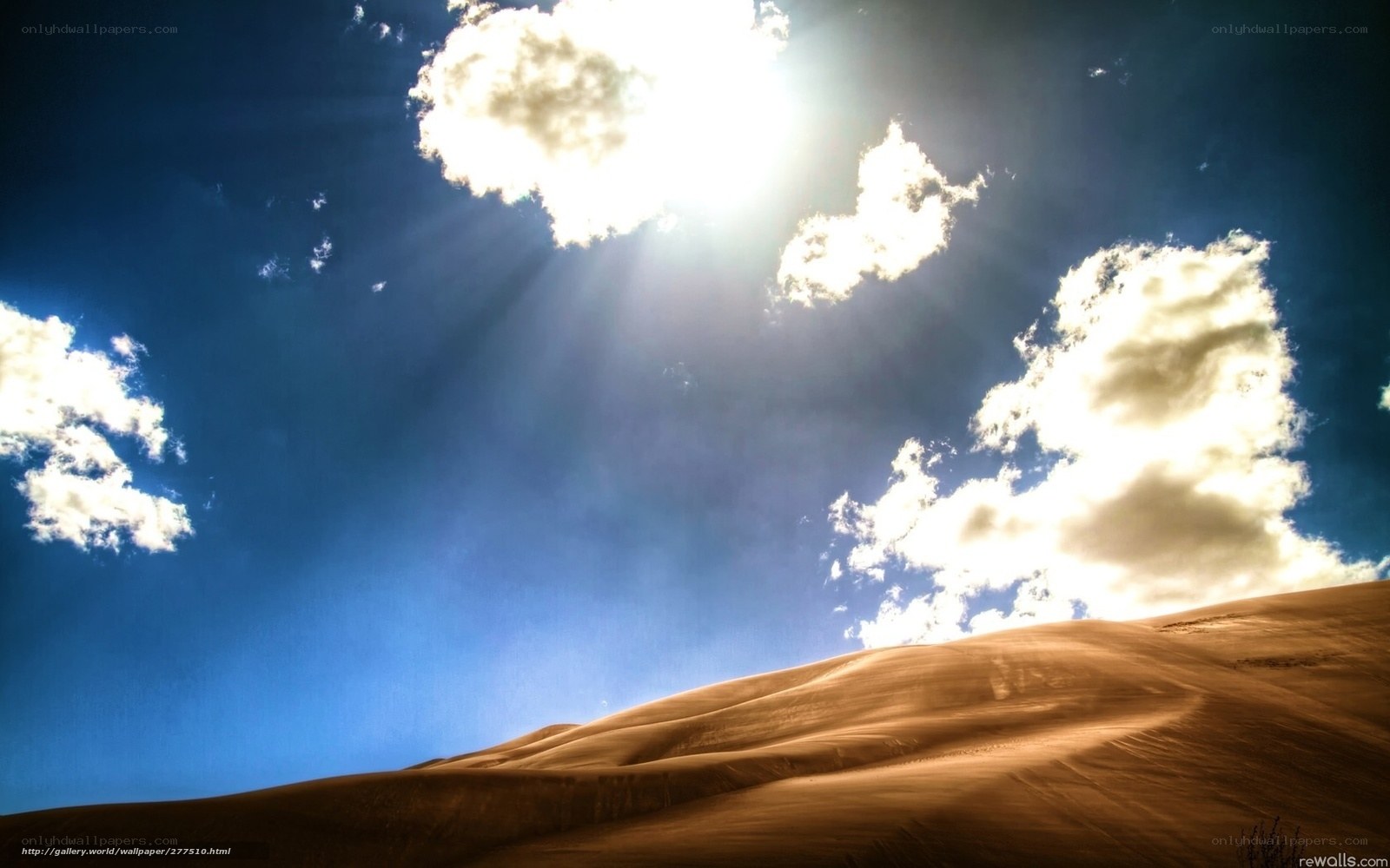 Desert dunes under bright sun