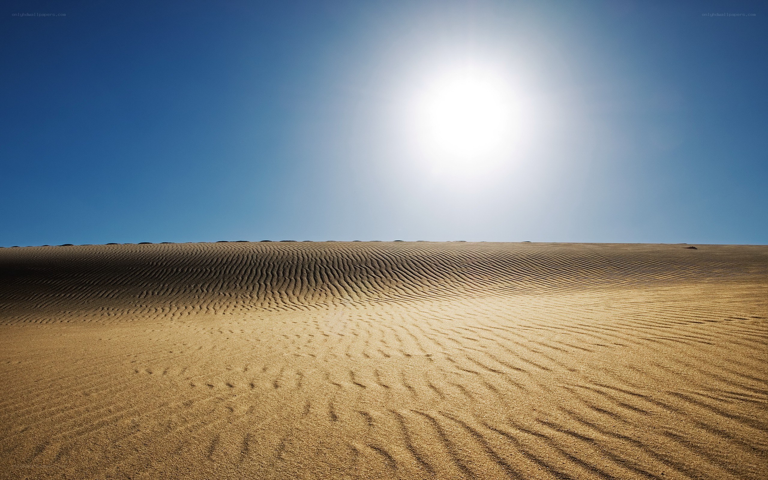 Desert dunes under bright sun