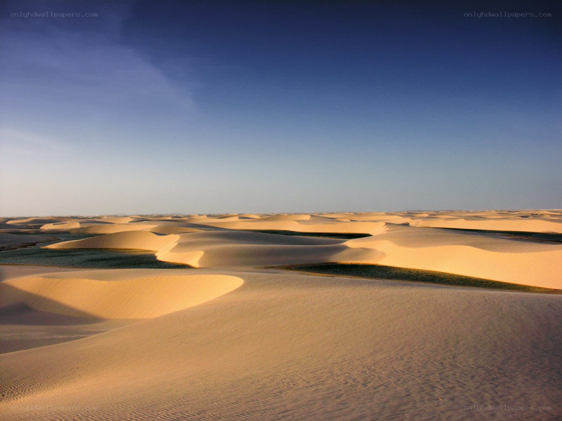 Desert dunes under clear sky
