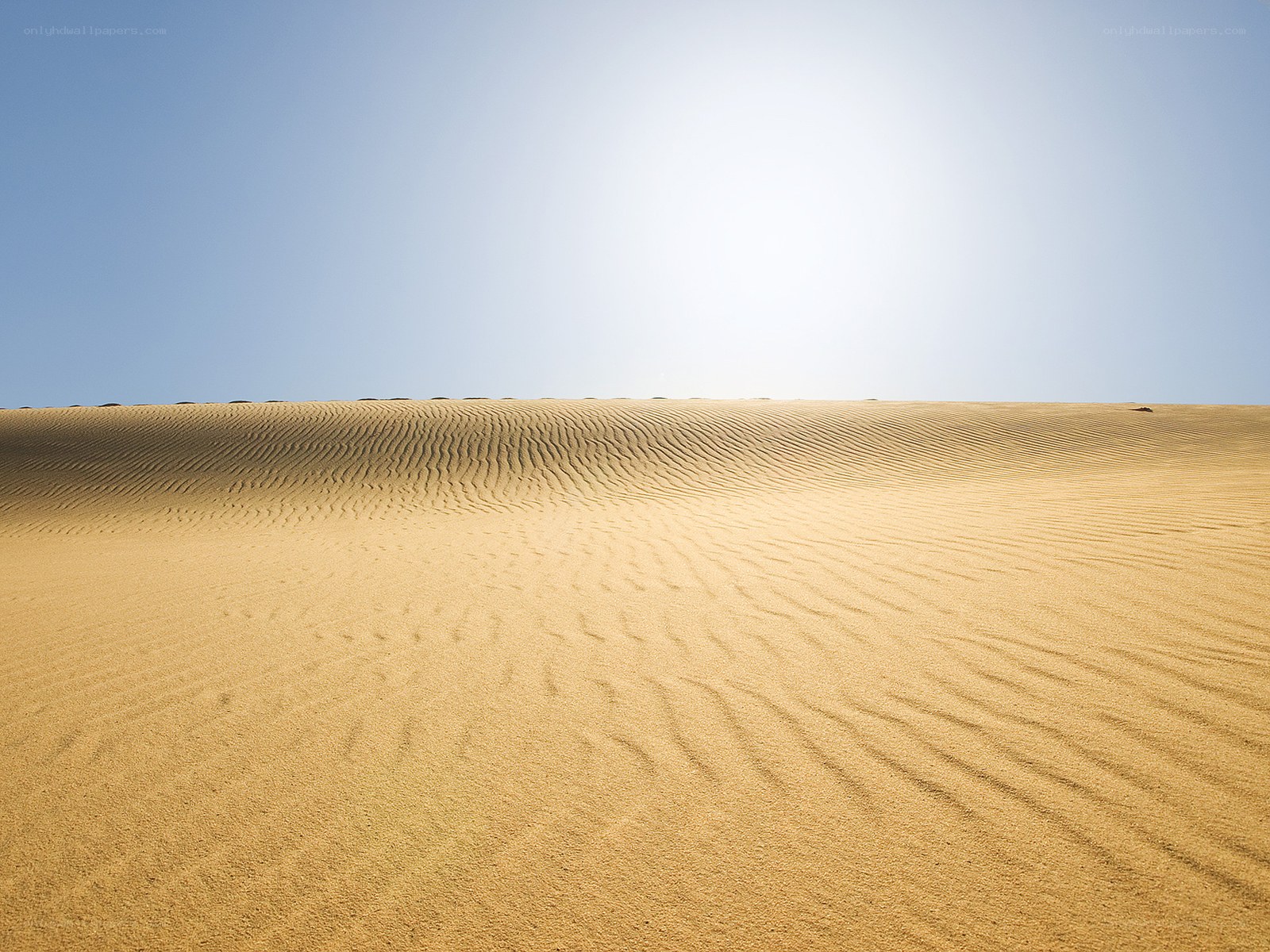 Desert dunes under clear sky