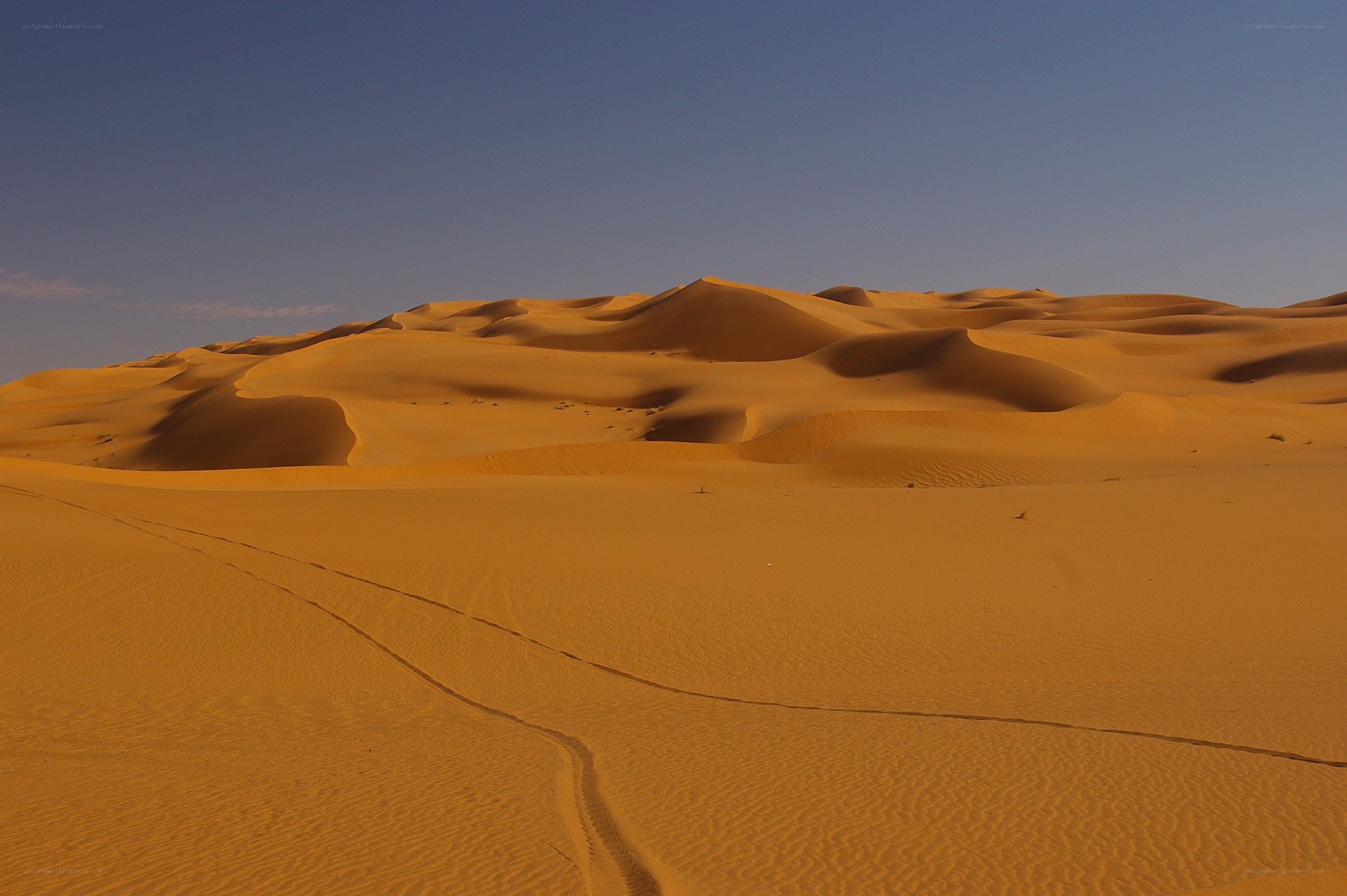 Desert dunes under clear sky