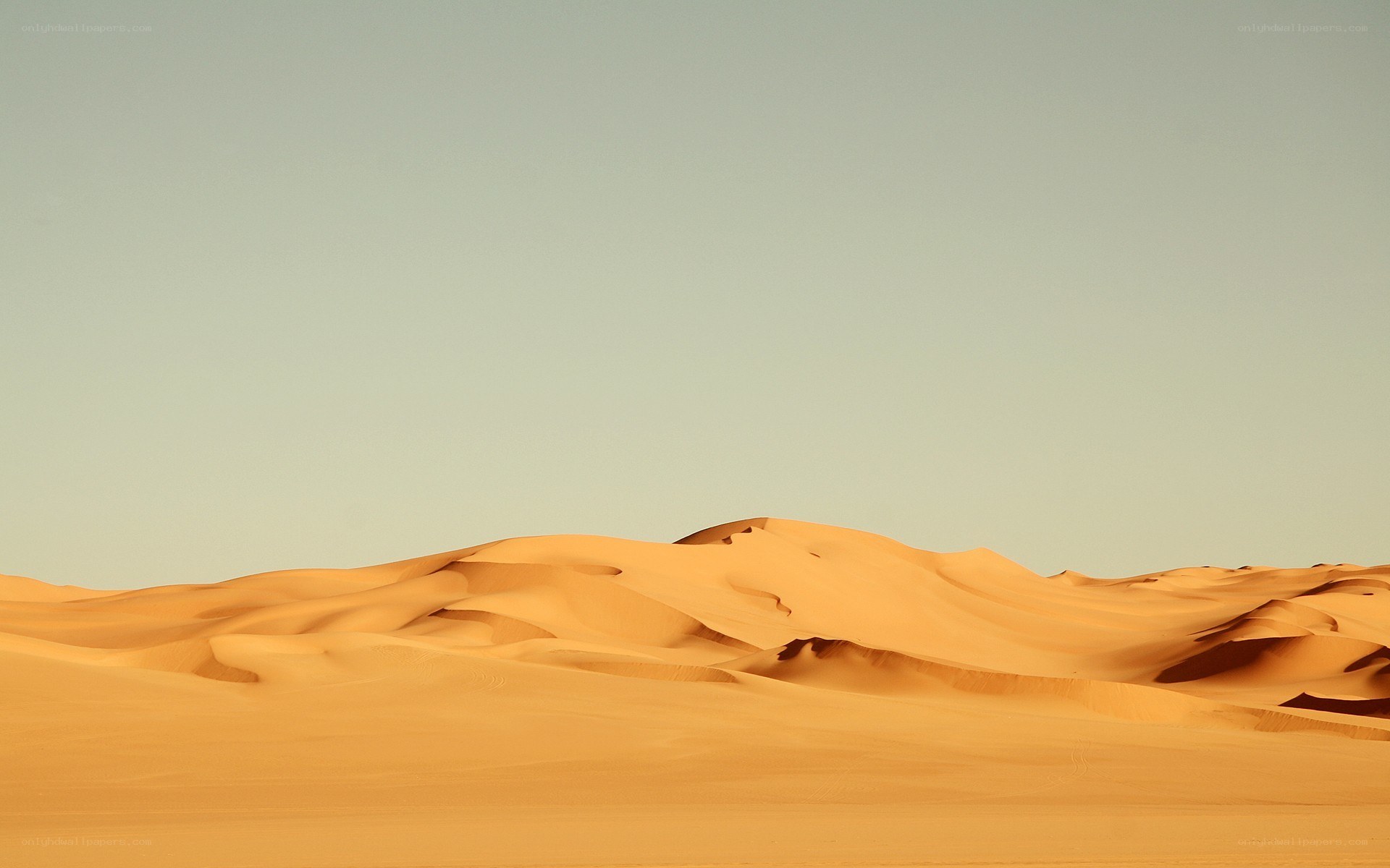 Desert dunes under clear sky