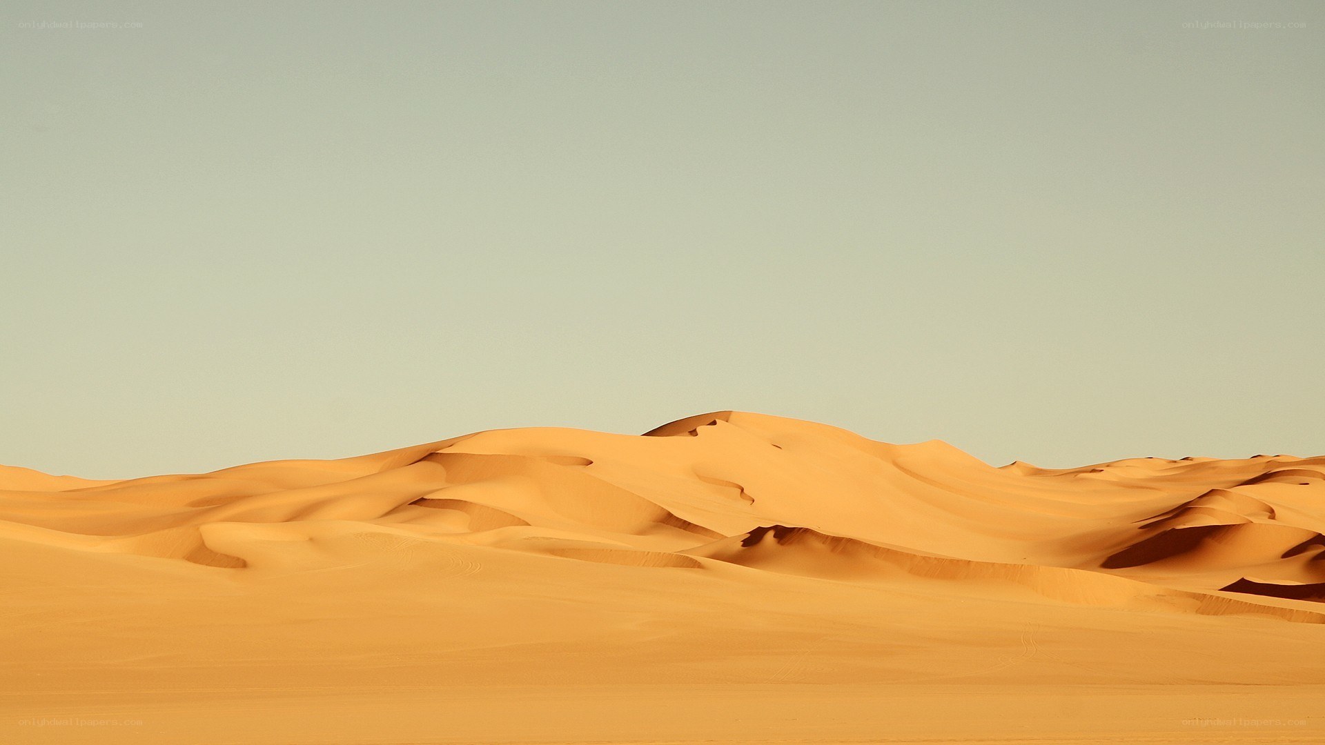 Desert dunes under clear sky
