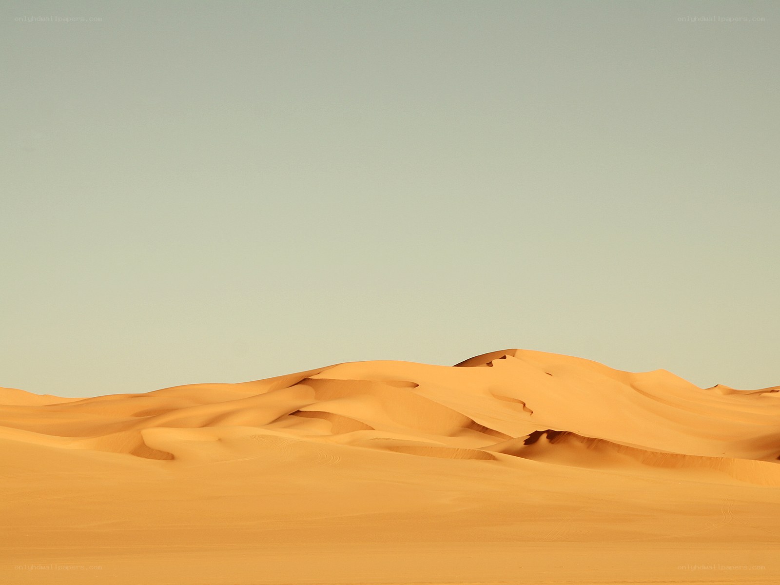 Desert dunes under clear sky