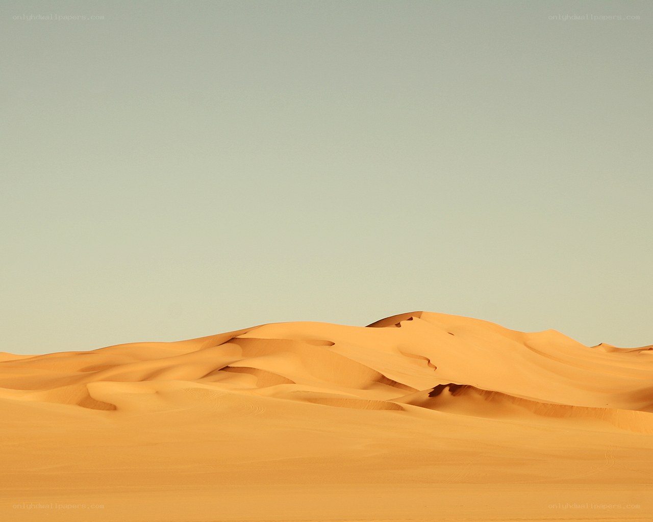 Desert dunes under clear sky