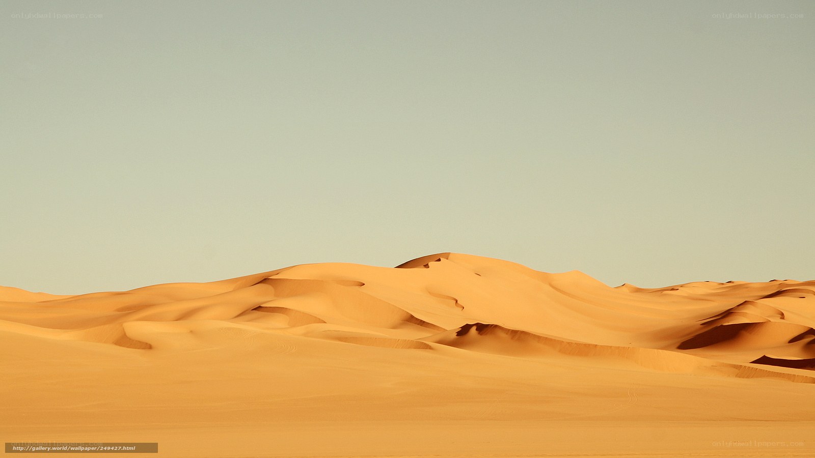 Desert dunes under clear sky