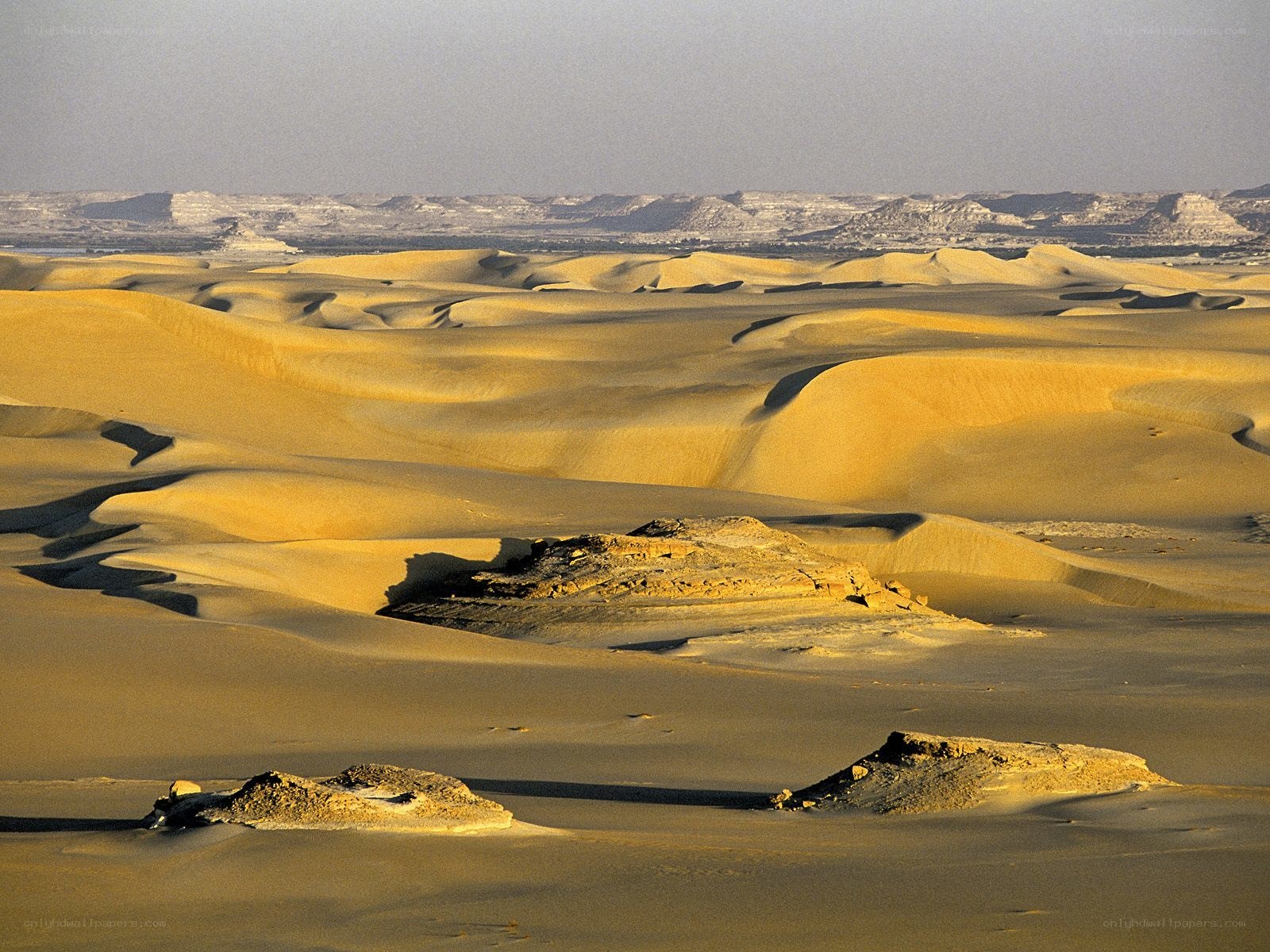 Desert dunes under golden light