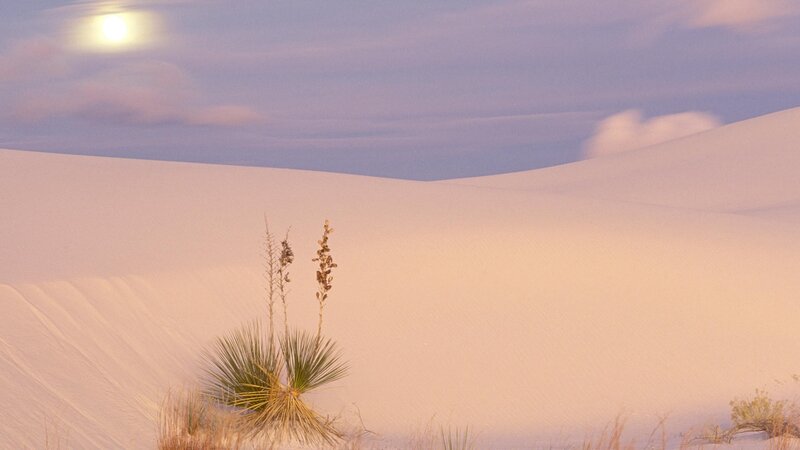 Desert dunes under moonlight
