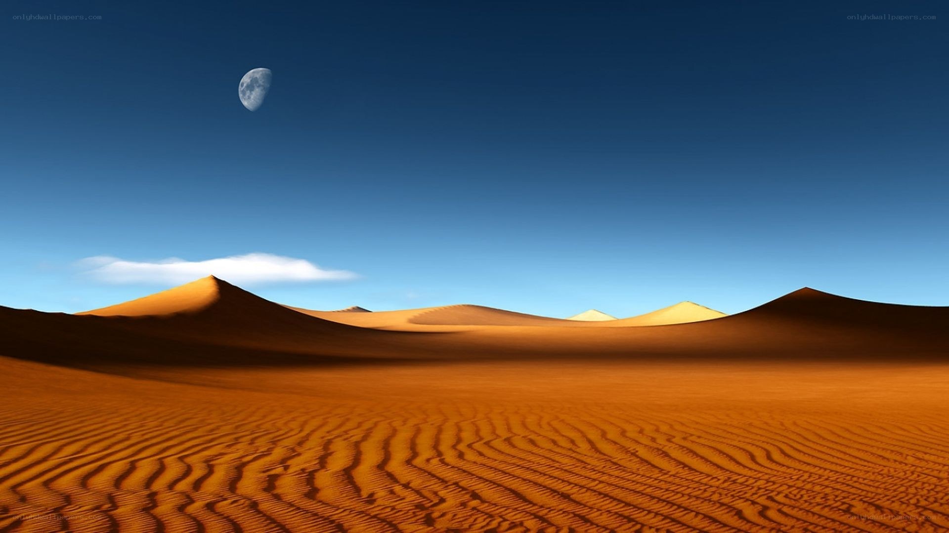 Desert dunes under moonlight