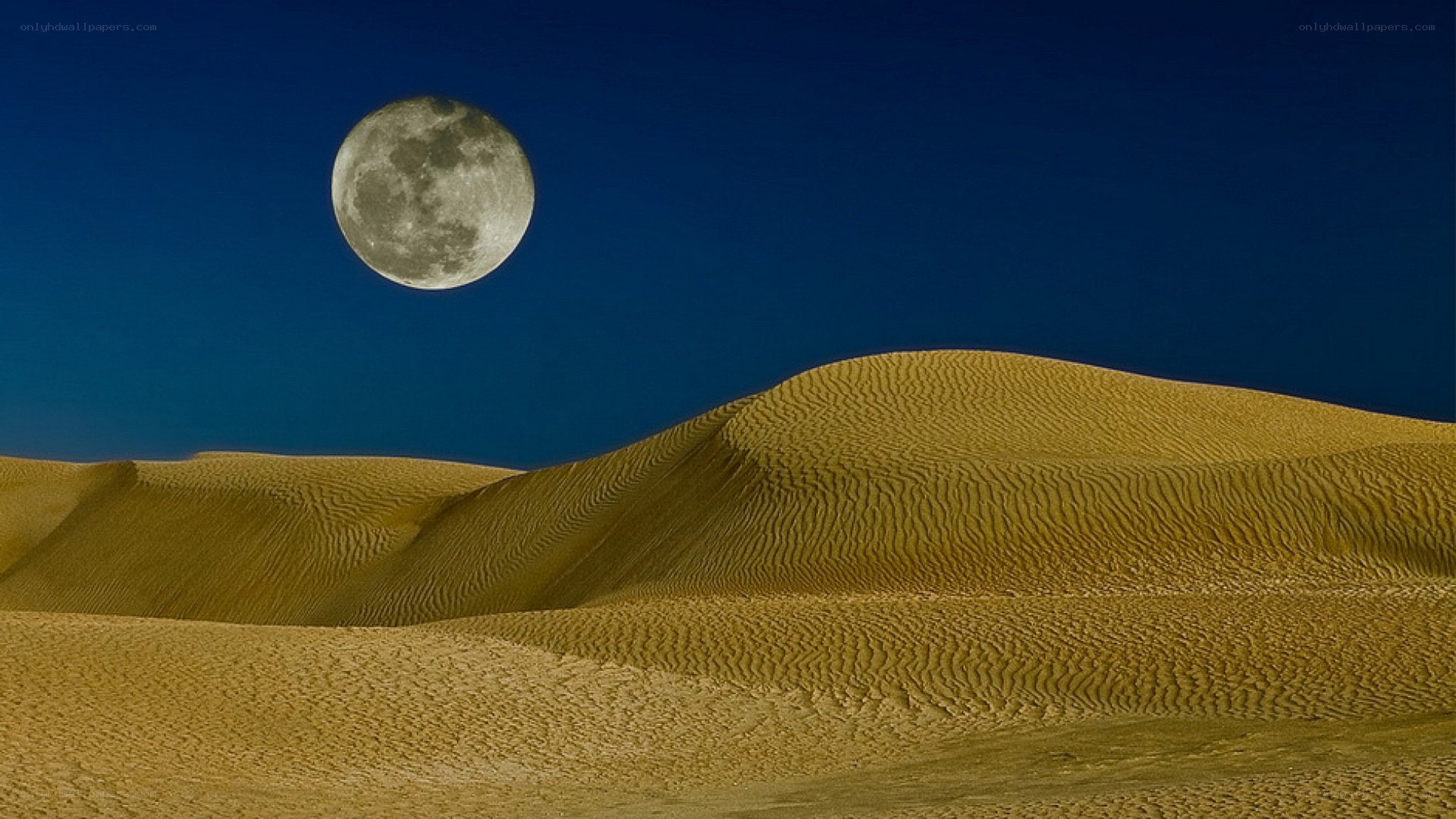 Desert dunes under moonlight