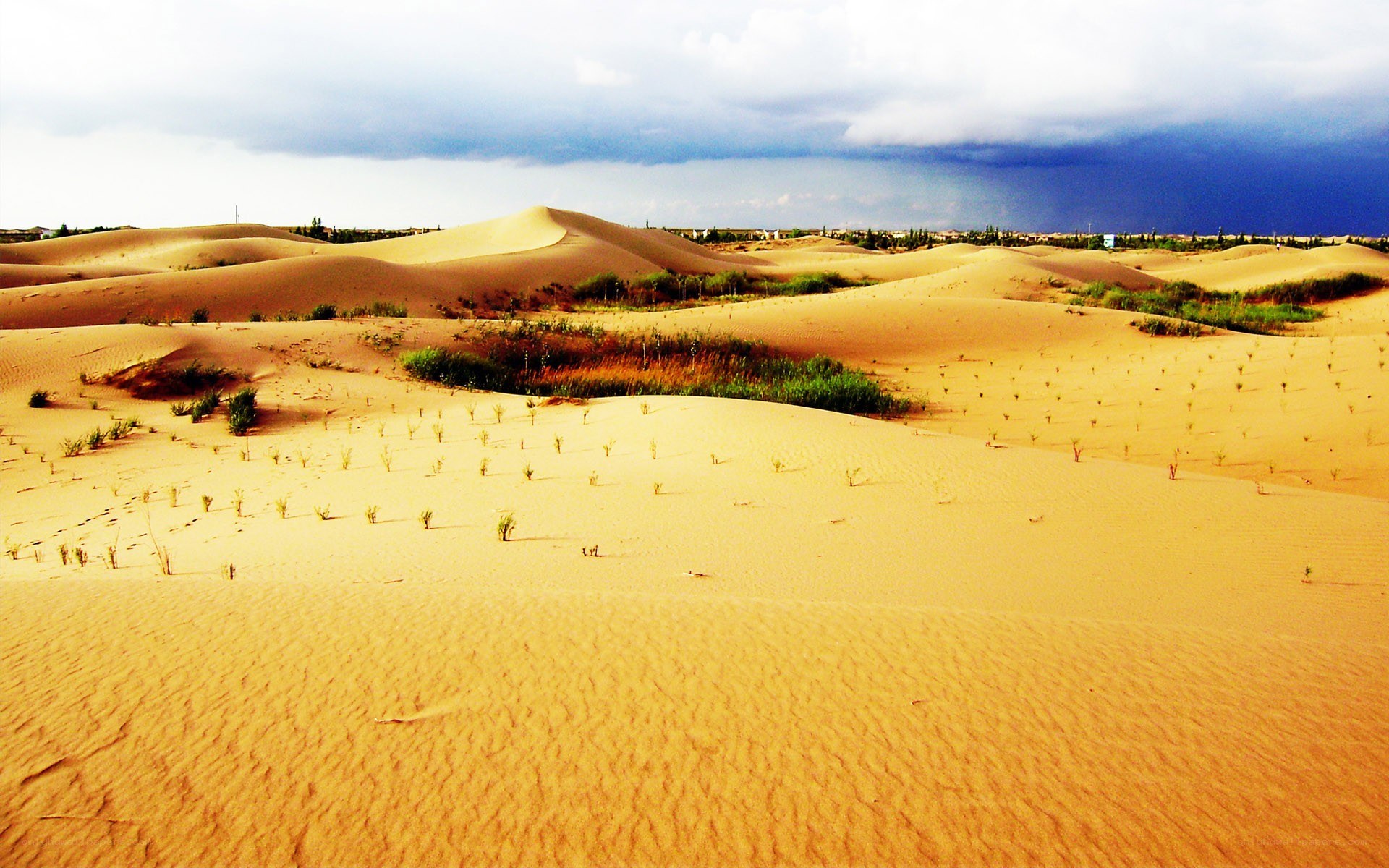 Desert dunes under stormy sky