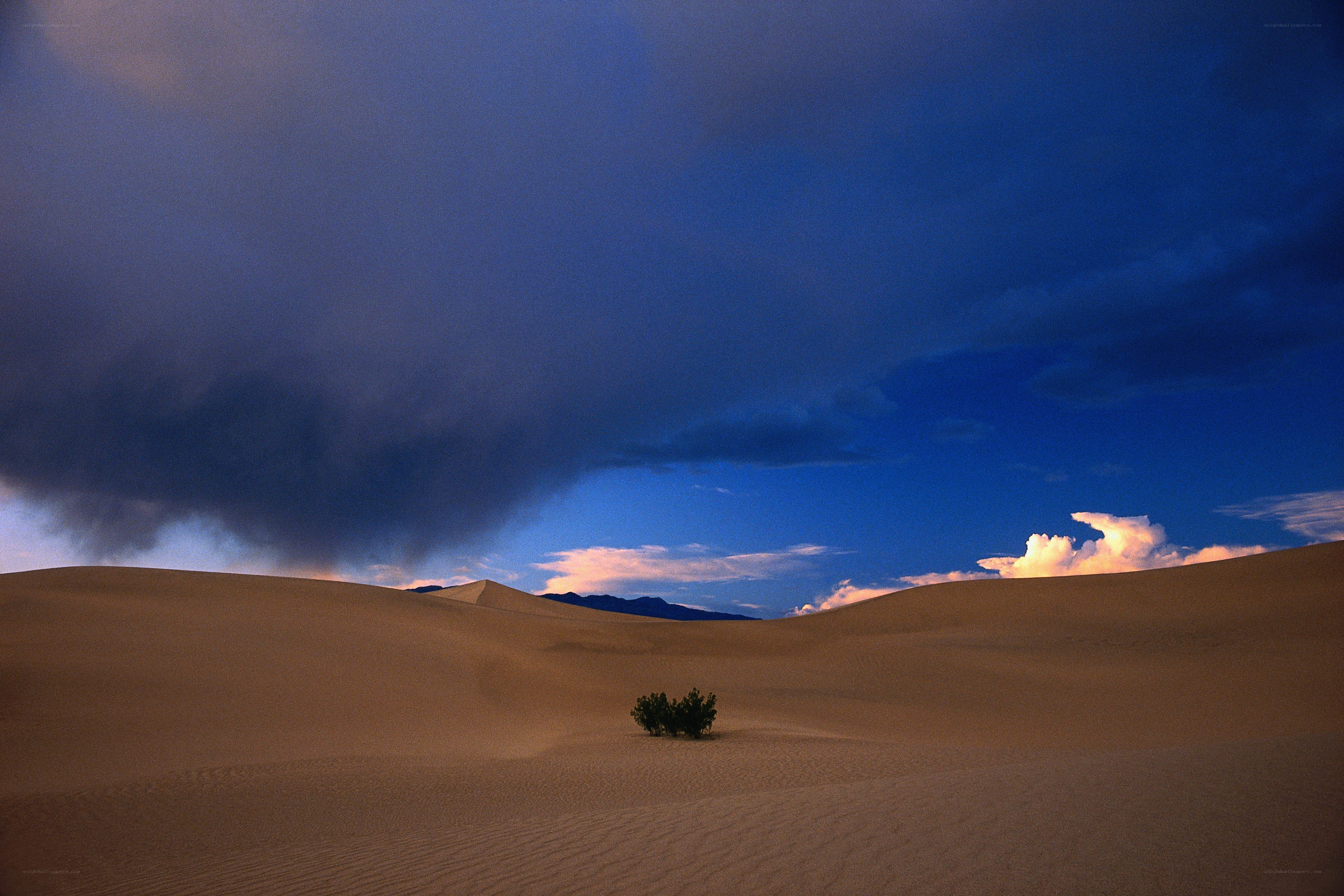 Desert dunes under stormy sky