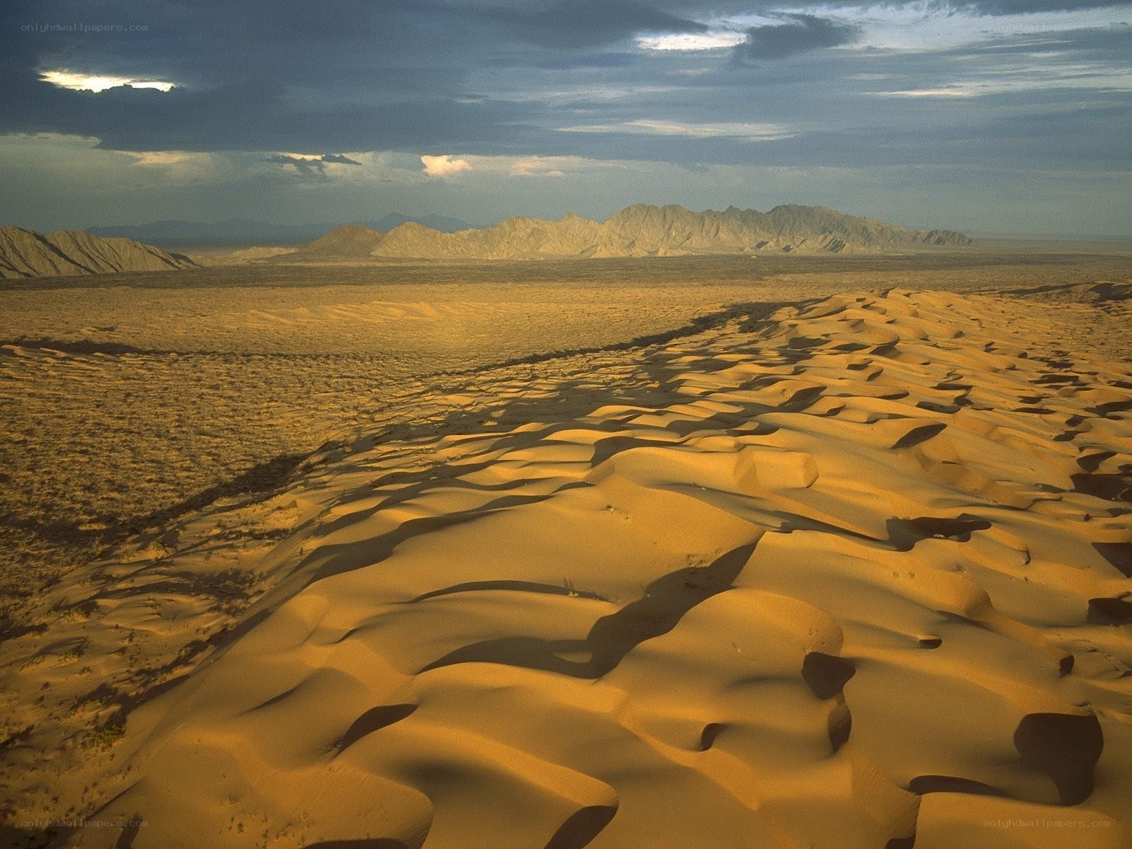 Desert dunes under stormy sky