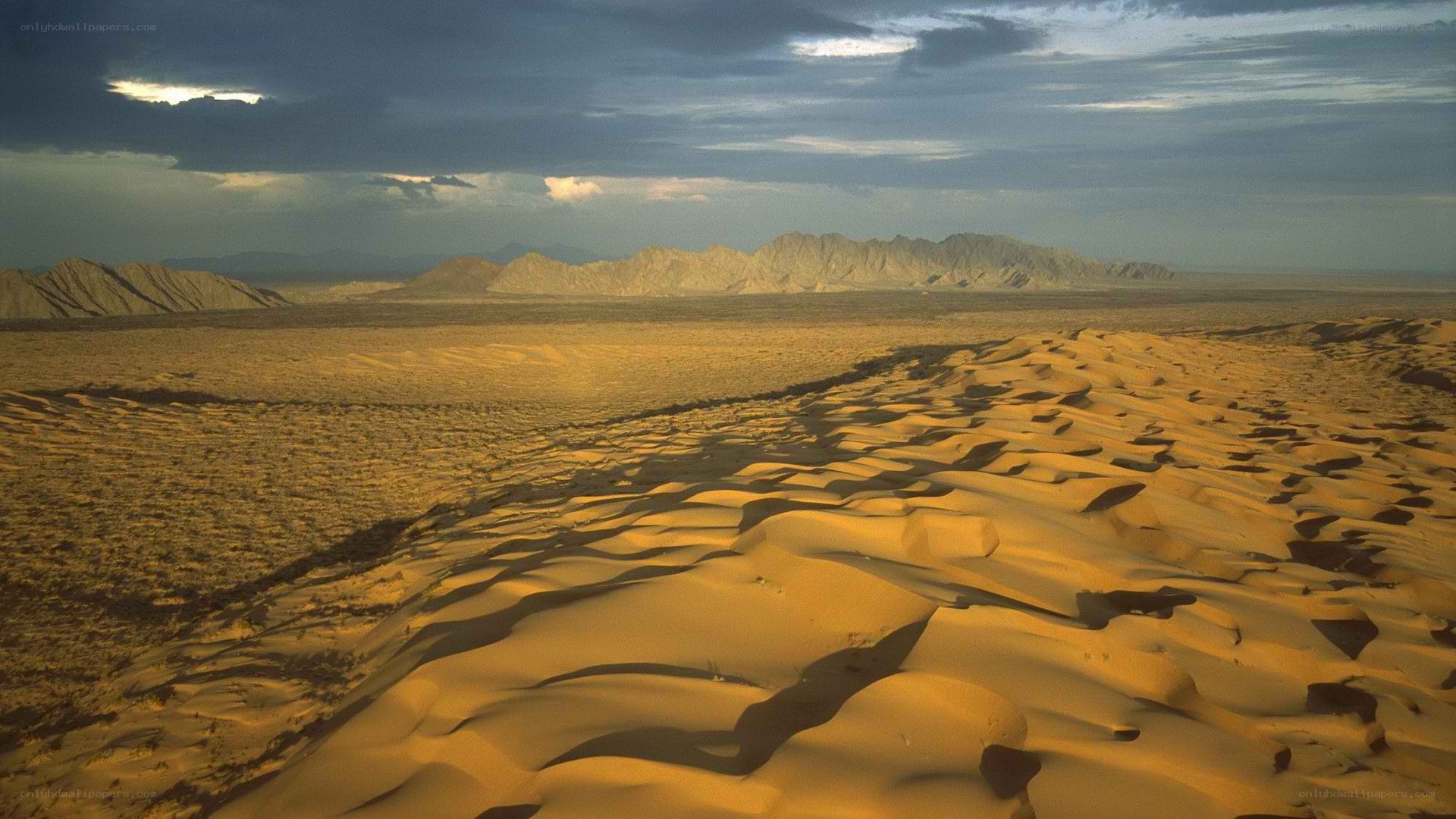 Desert dunes under stormy sky