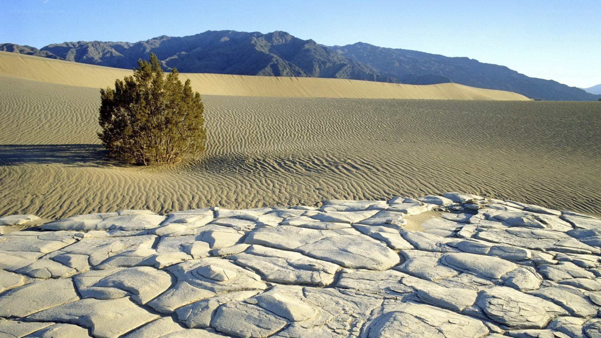 Desert dunes with cracked earth