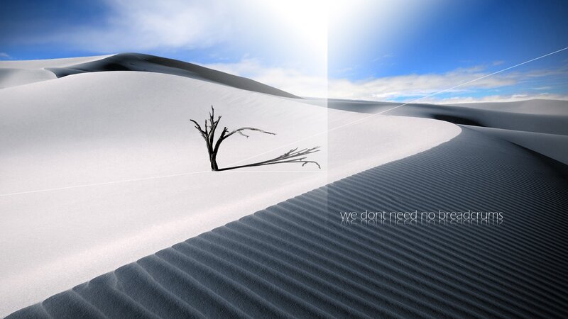 Desert dunes with lone tree