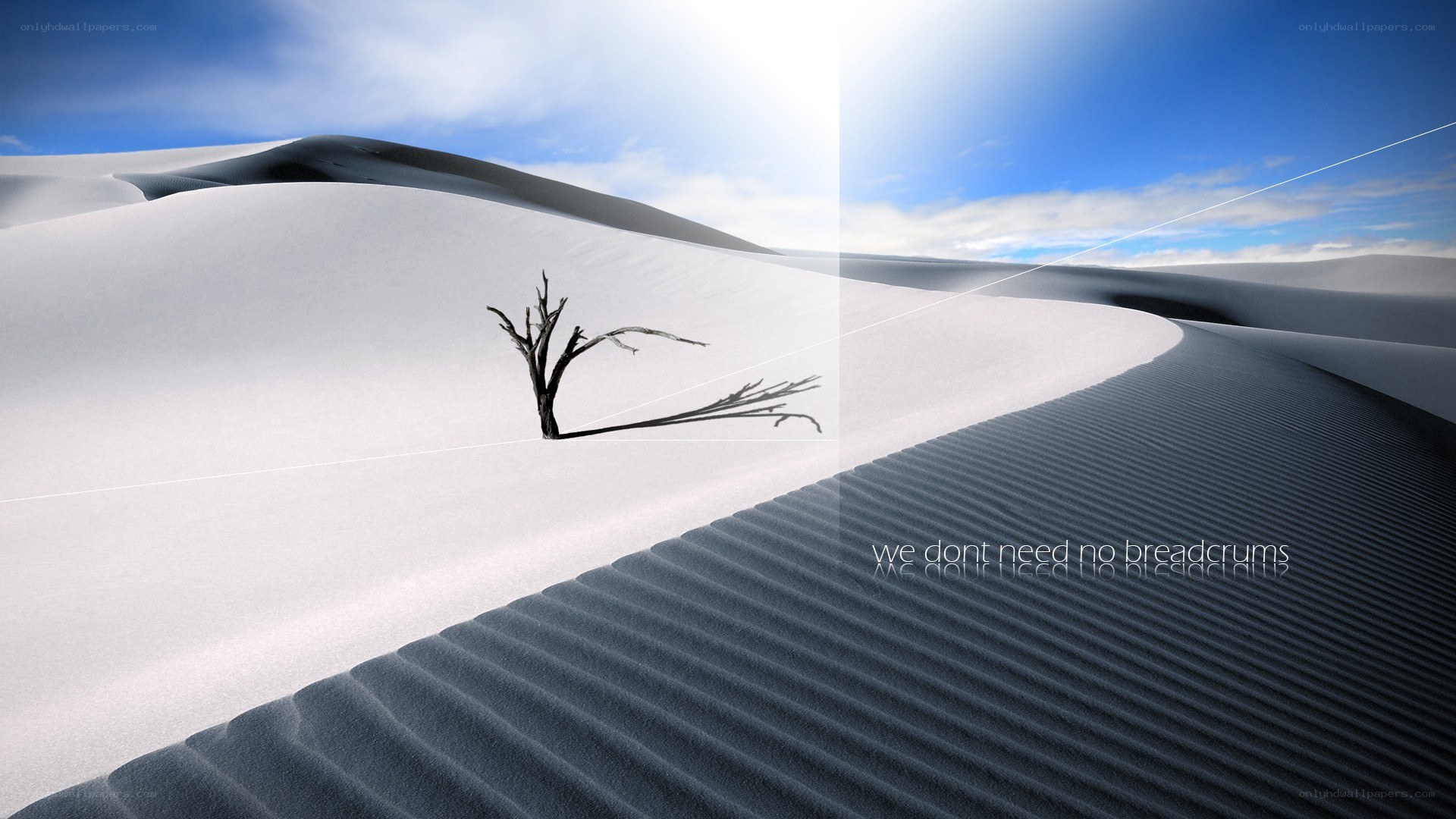 Desert dunes with lone tree