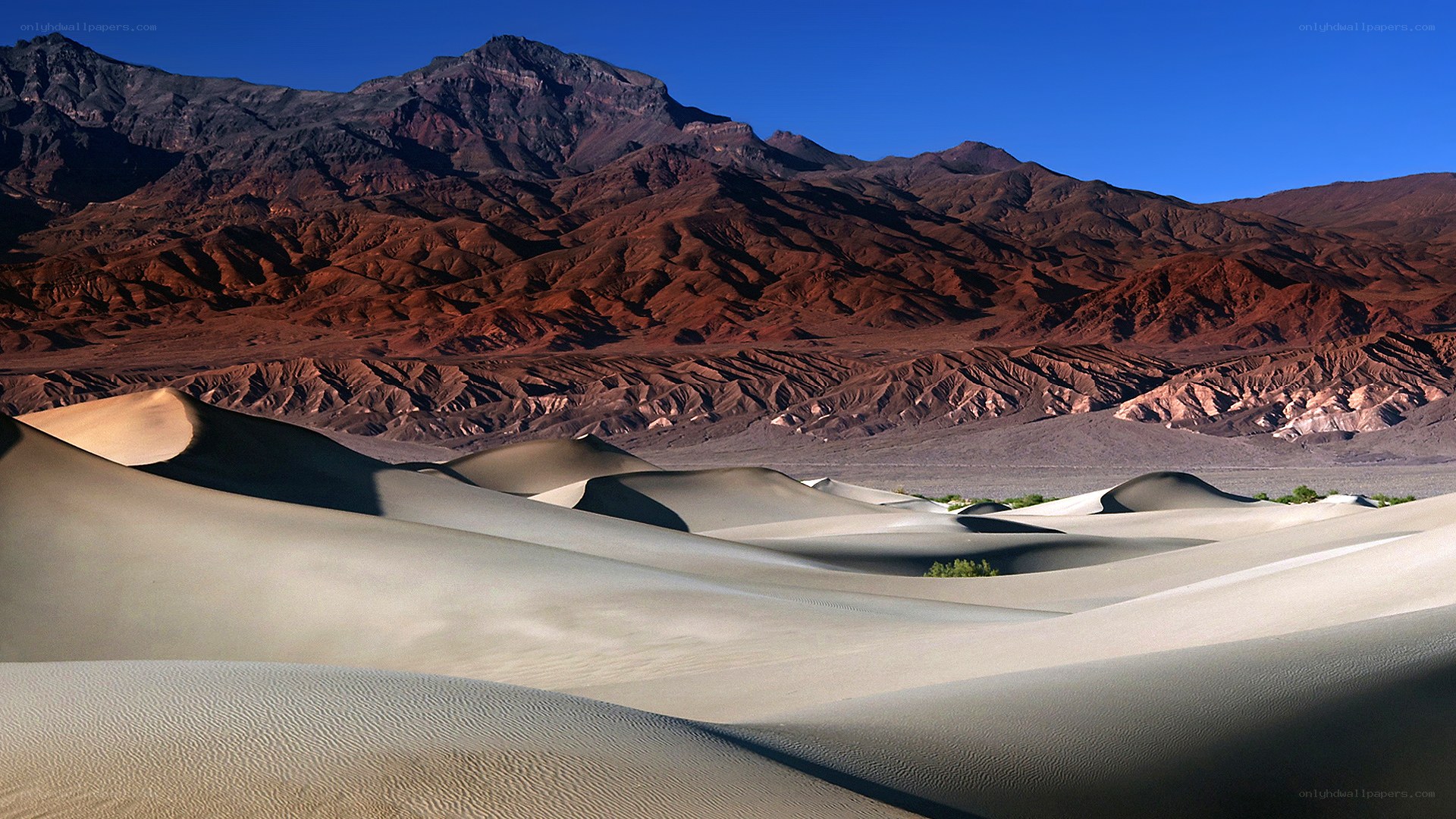 Desert dunes with mountains