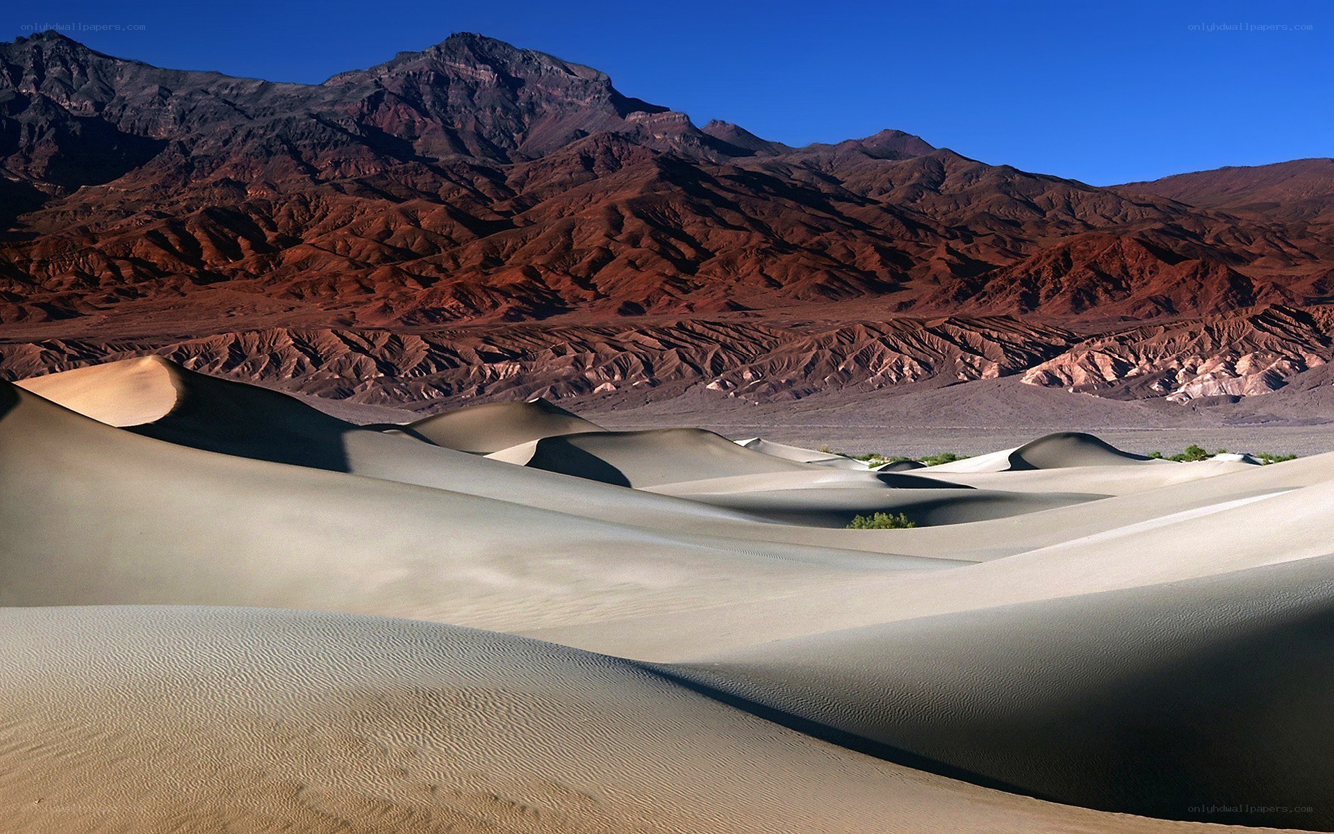 Desert dunes with mountains