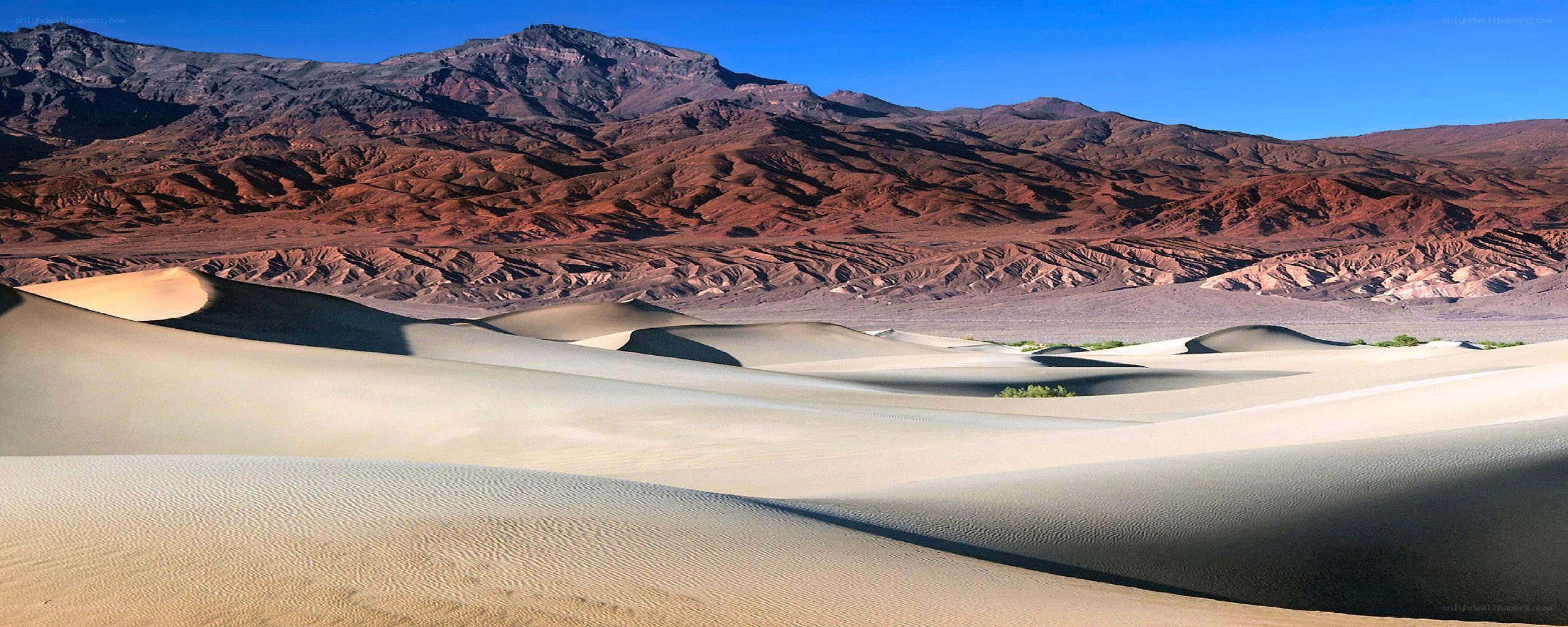 Desert dunes with mountains