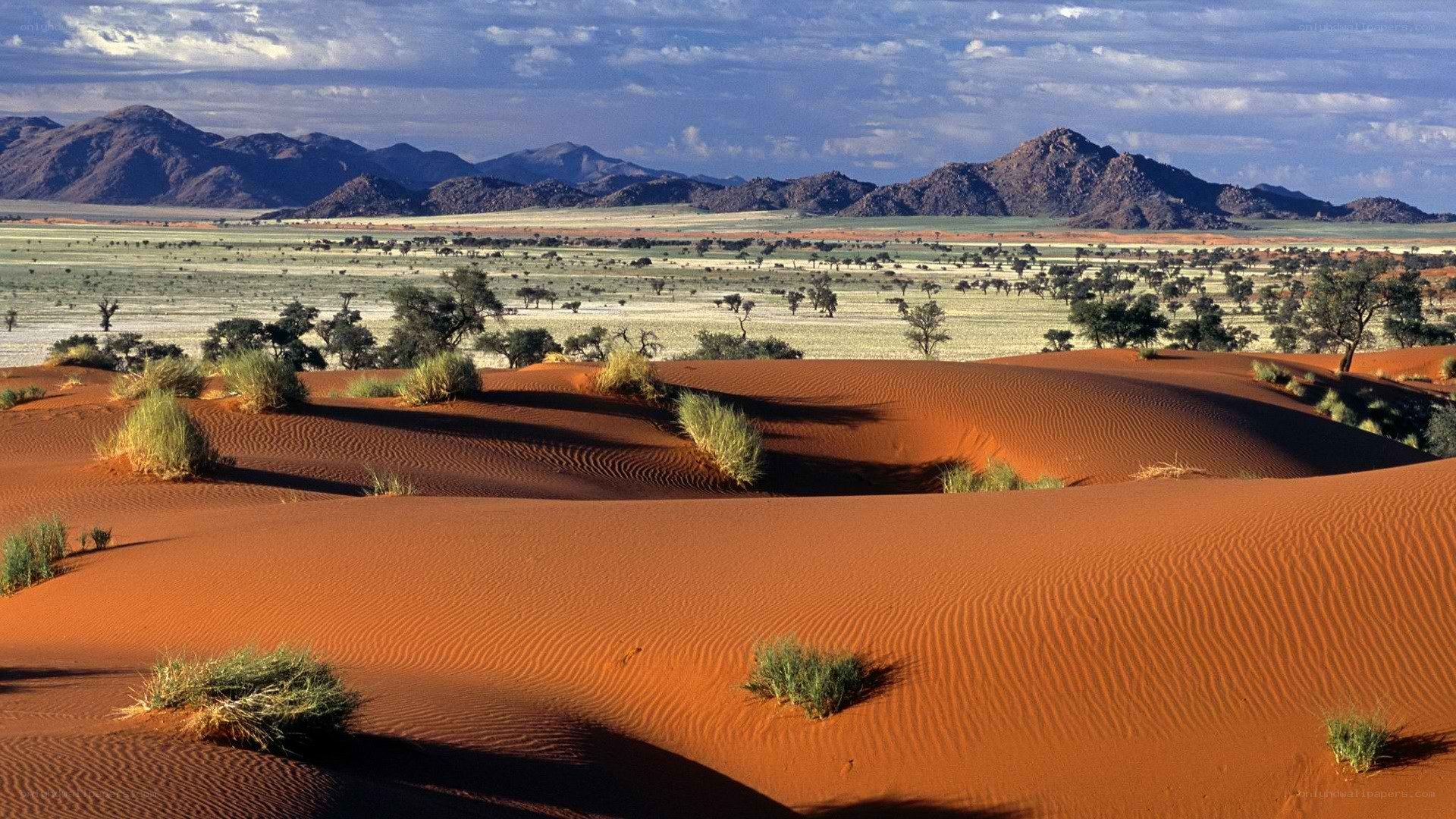 Desert dunes with mountains