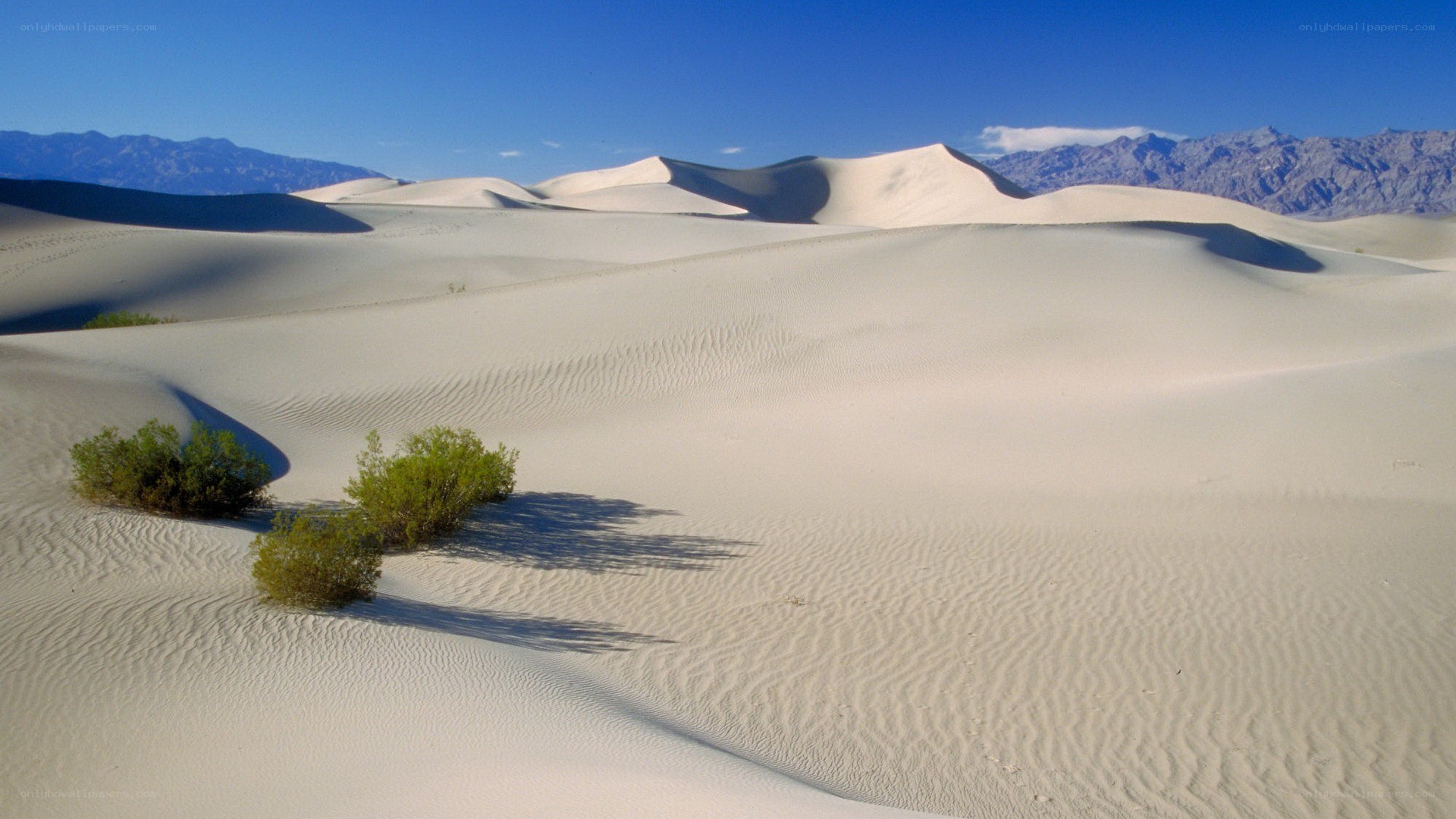 Desert dunes with mountains