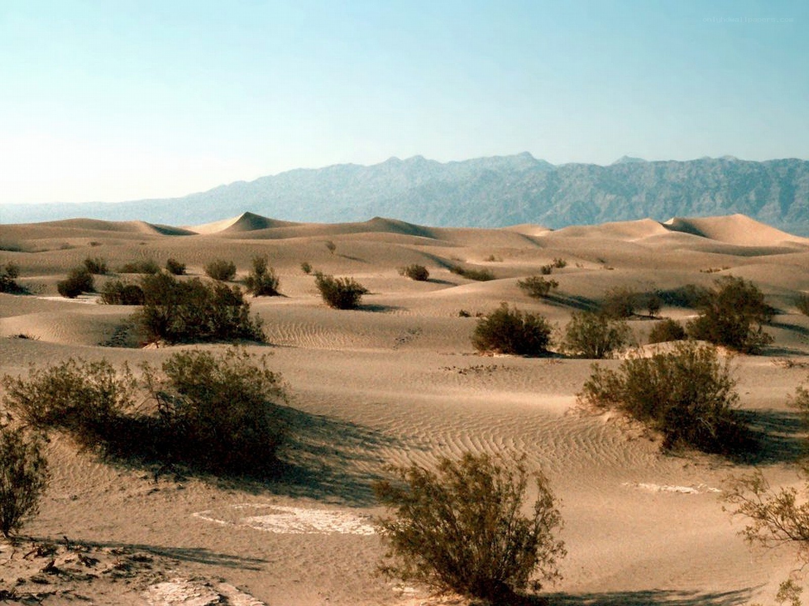 desert dunes with mountains