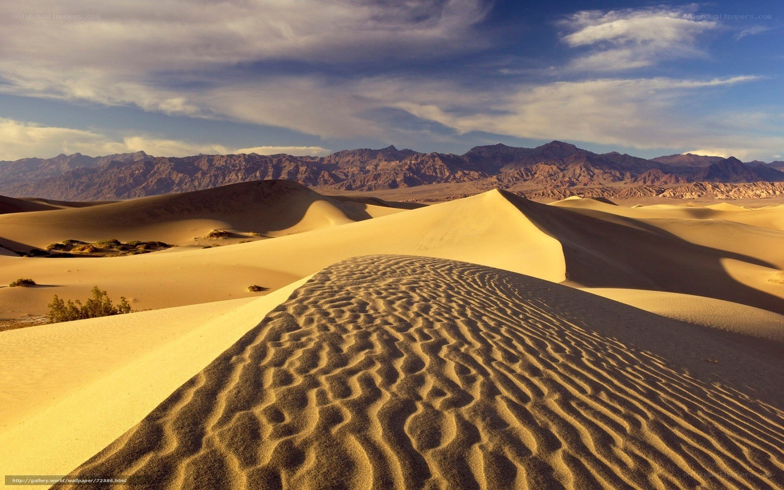 Desert dunes with mountains