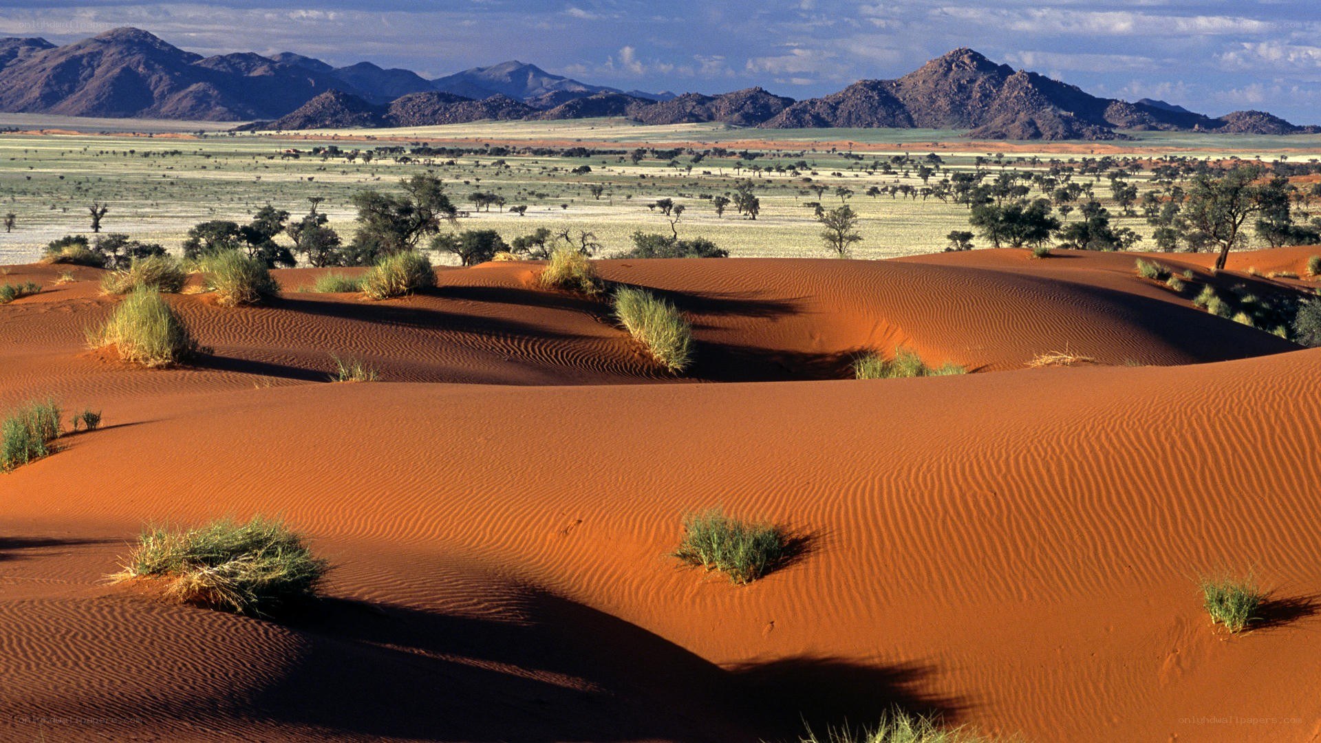 Desert dunes with mountains
